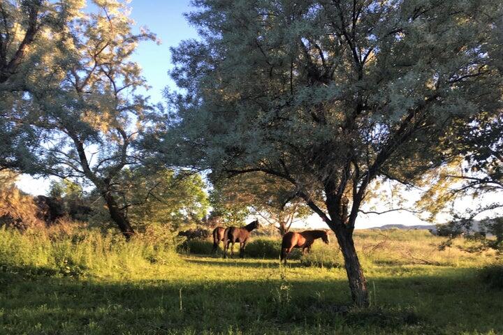 Blaine County, Idaho 83313, United States, 1 Bedroom Bedrooms, ,1 BathroomBathrooms,Residential,Pending,42098