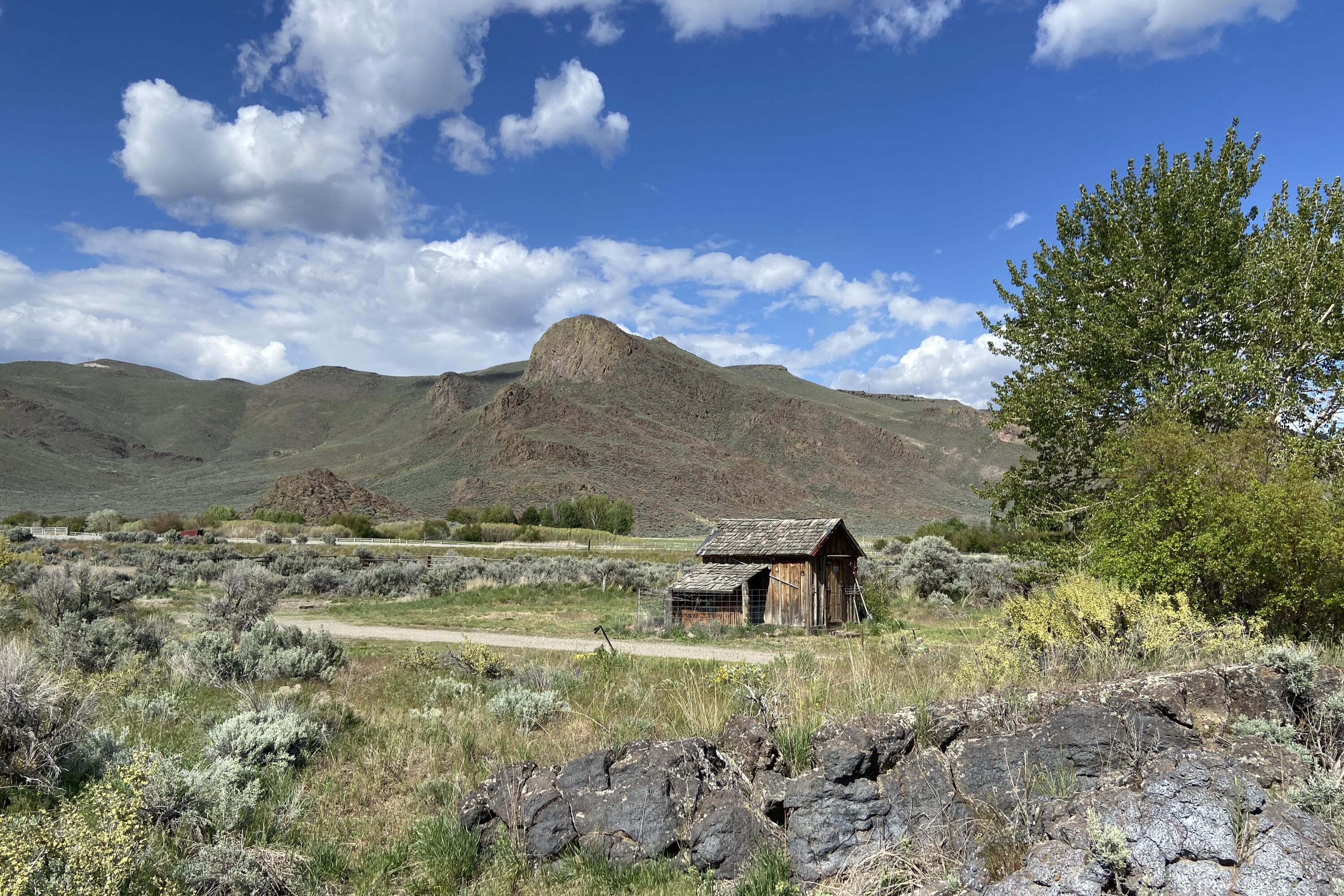 Blaine County, Idaho 83313, United States, 1 Bedroom Bedrooms, ,1 BathroomBathrooms,Residential,Pending,42098