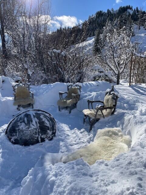 Blaine County, Idaho 83340, United States, 3 Bedrooms Bedrooms, ,3 BathroomsBathrooms,Residential,Active,256551