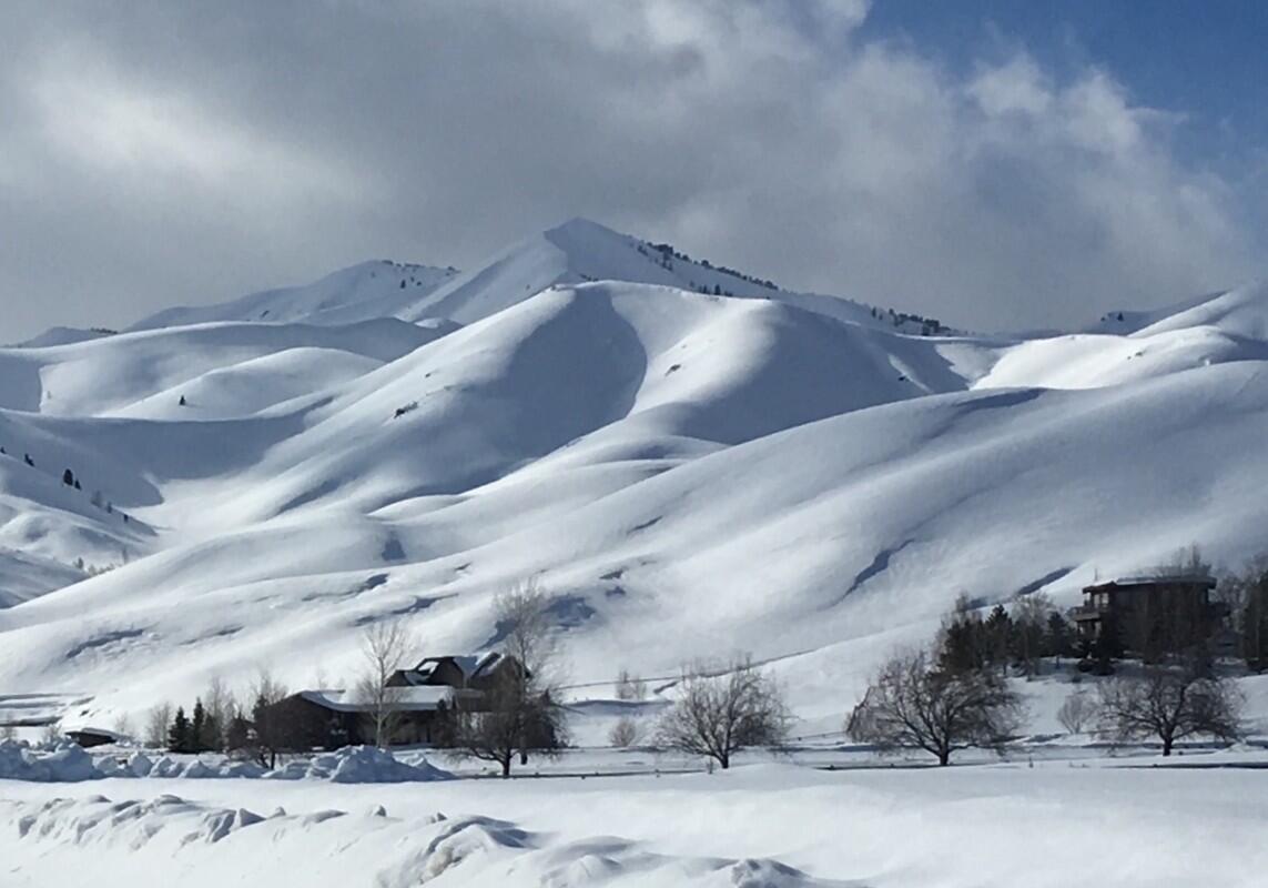 Winter View