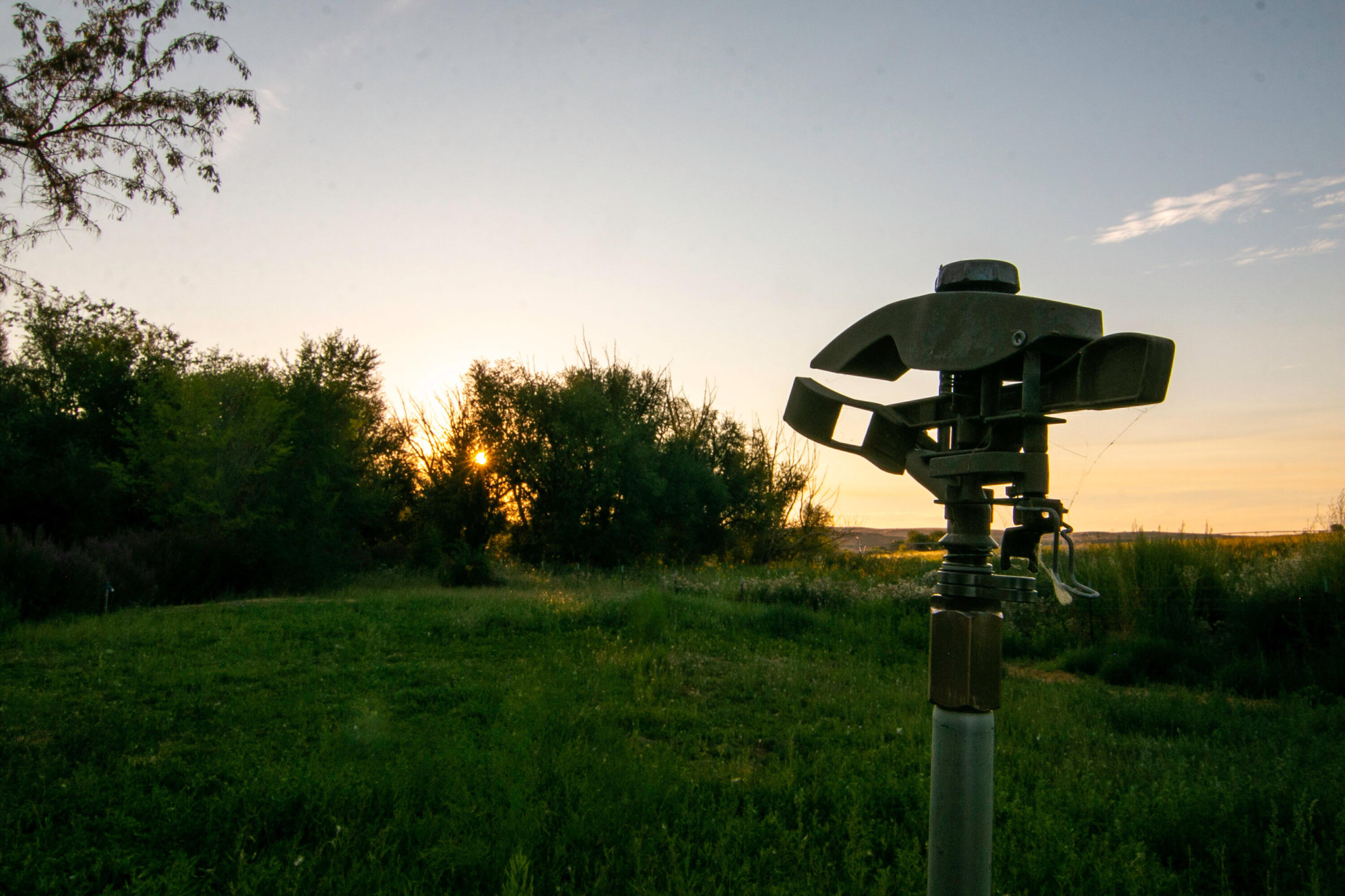 043_069_99_mg_6016_195