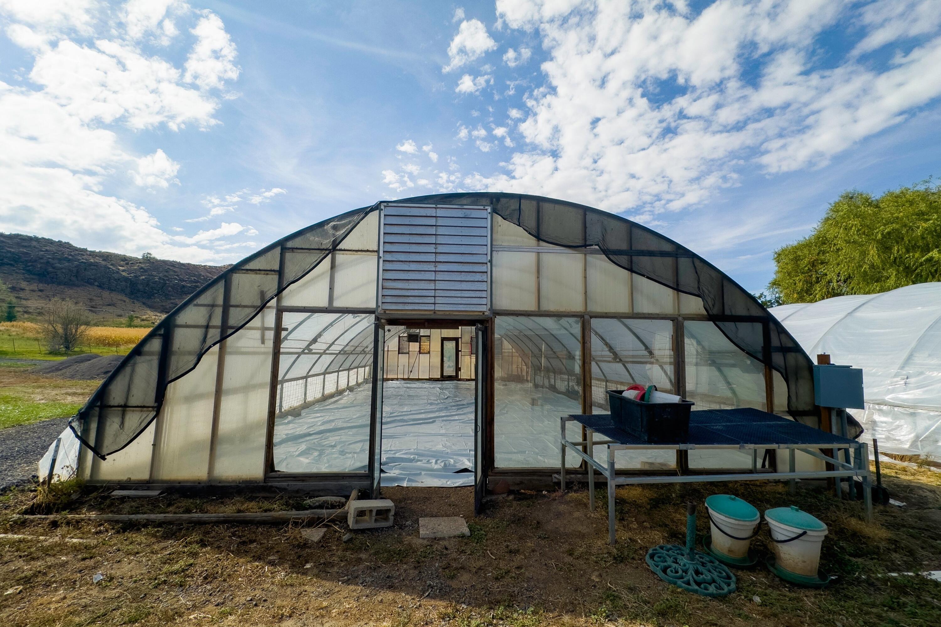 034_060_img_0289_524