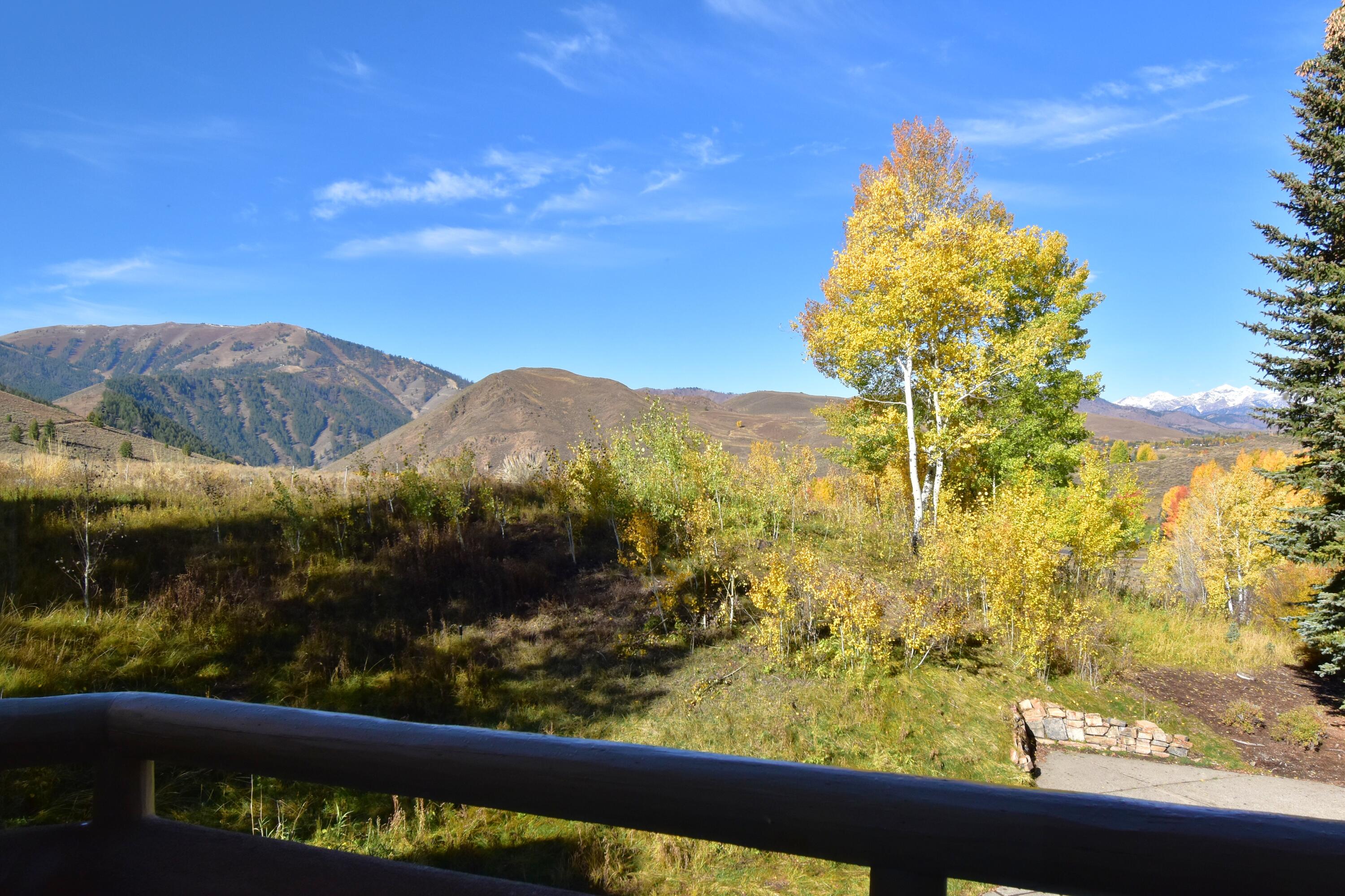 Sun Valley, Idaho 83353, United States, 5 Bedrooms Bedrooms, ,5 BathroomsBathrooms,Residential,Active,213453