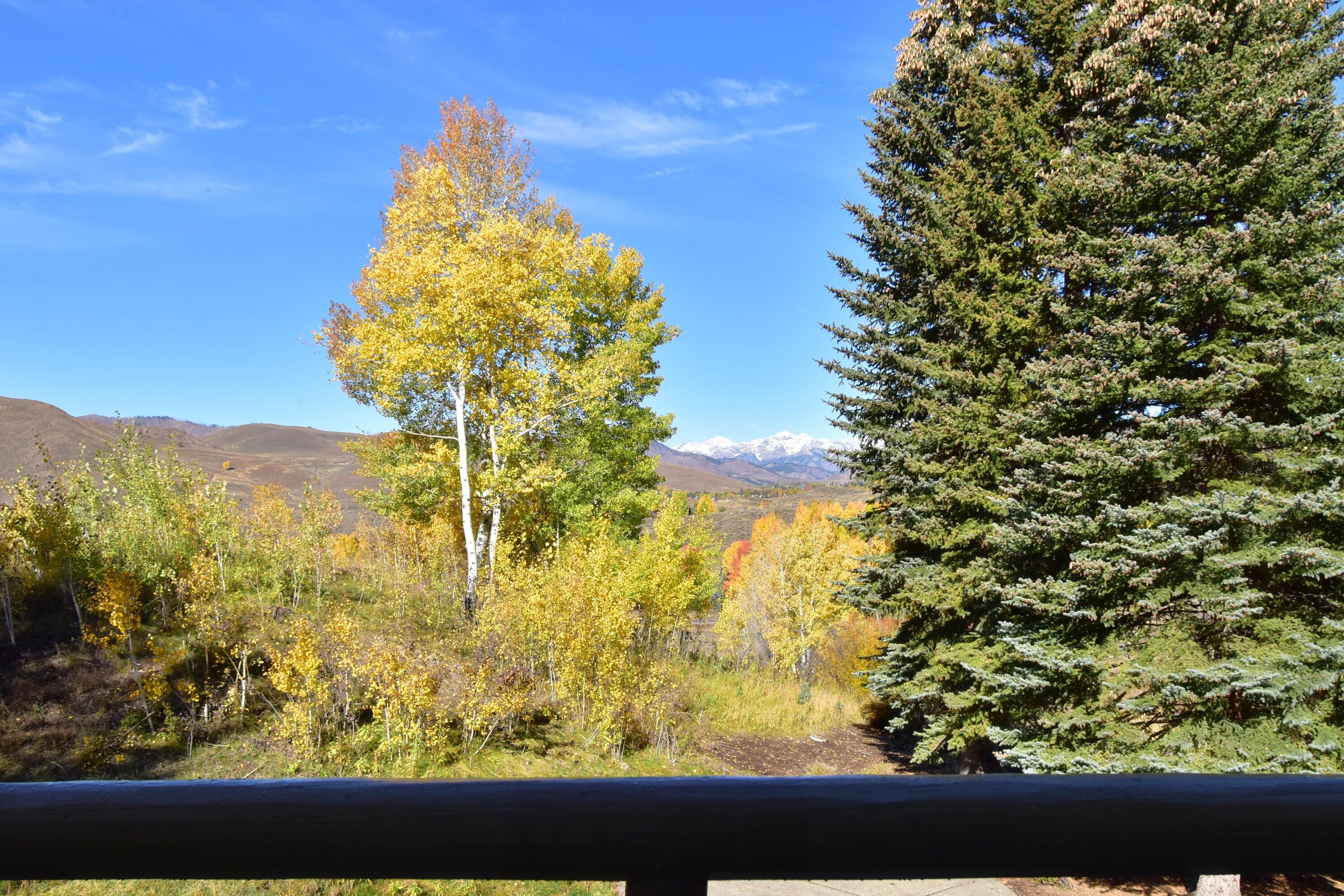 Sun Valley, Idaho 83353, United States, 5 Bedrooms Bedrooms, ,5 BathroomsBathrooms,Residential,Active,213453