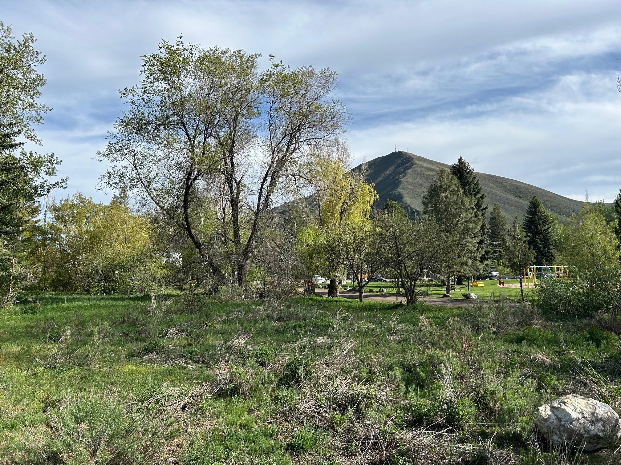 216 W Carbonate St, Hailey, Idaho image 4