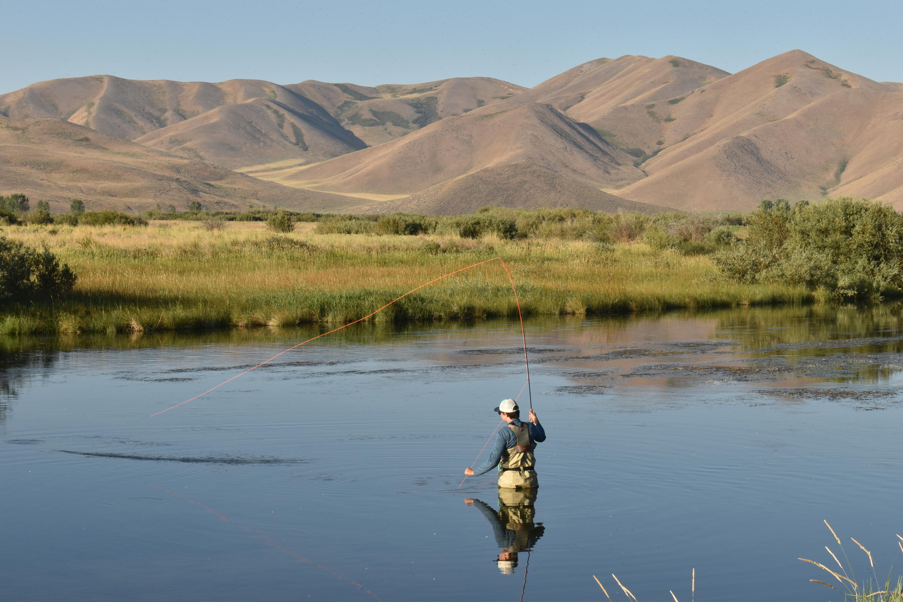 Fishing Silver Creek 4