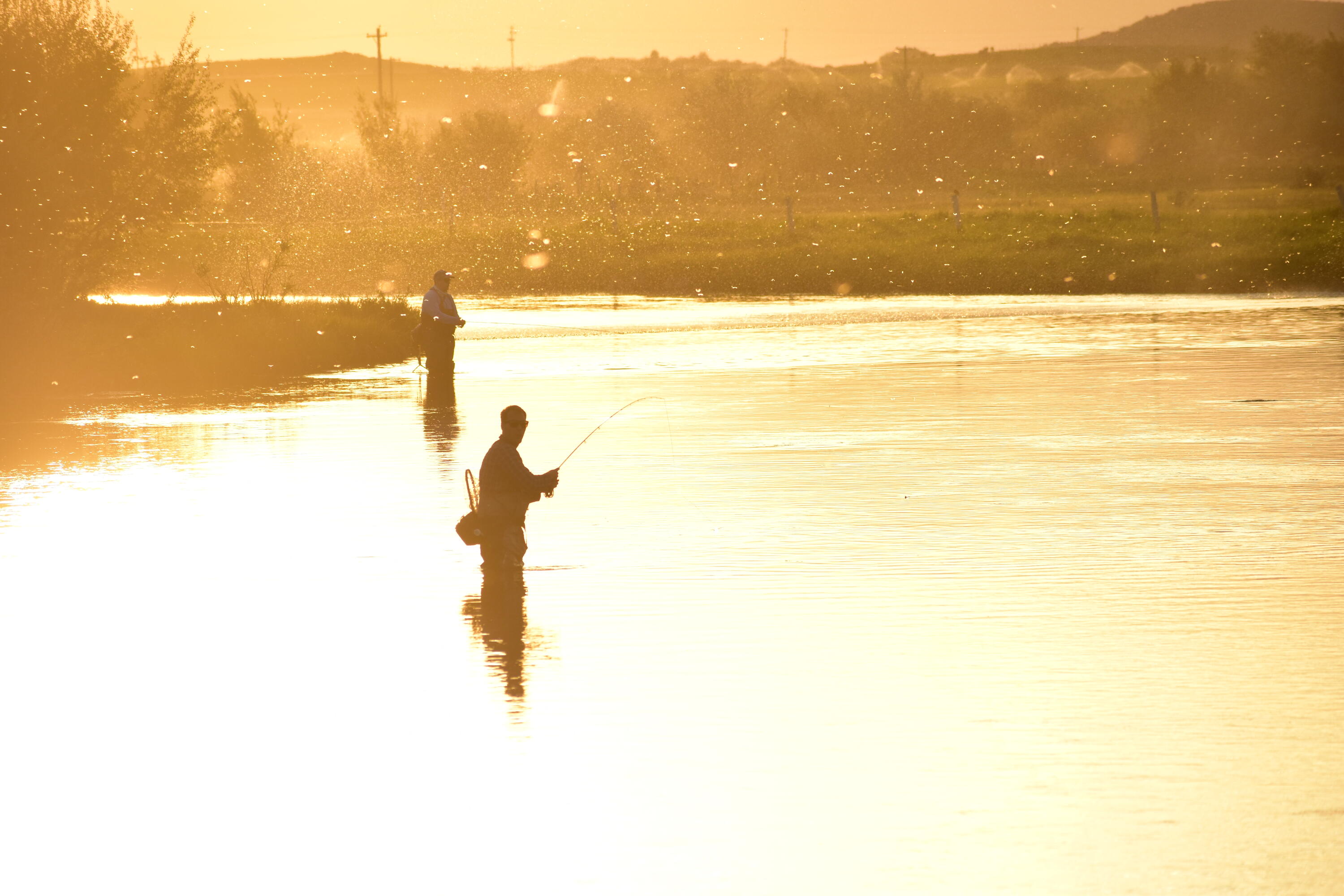 Fishing Silver Creek Sunset 3