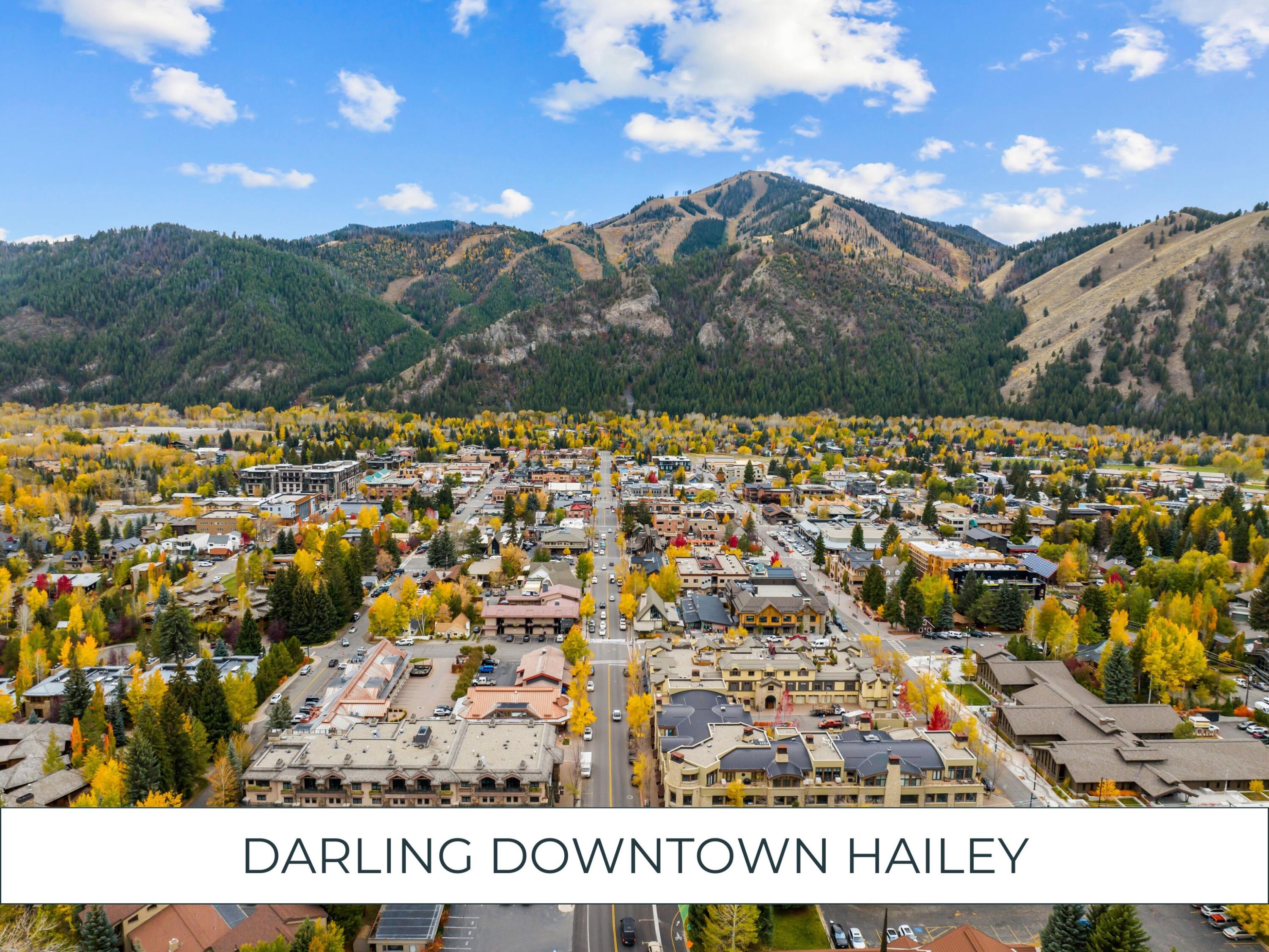 317 N River St #UNIT 5, Hailey, Idaho image 17