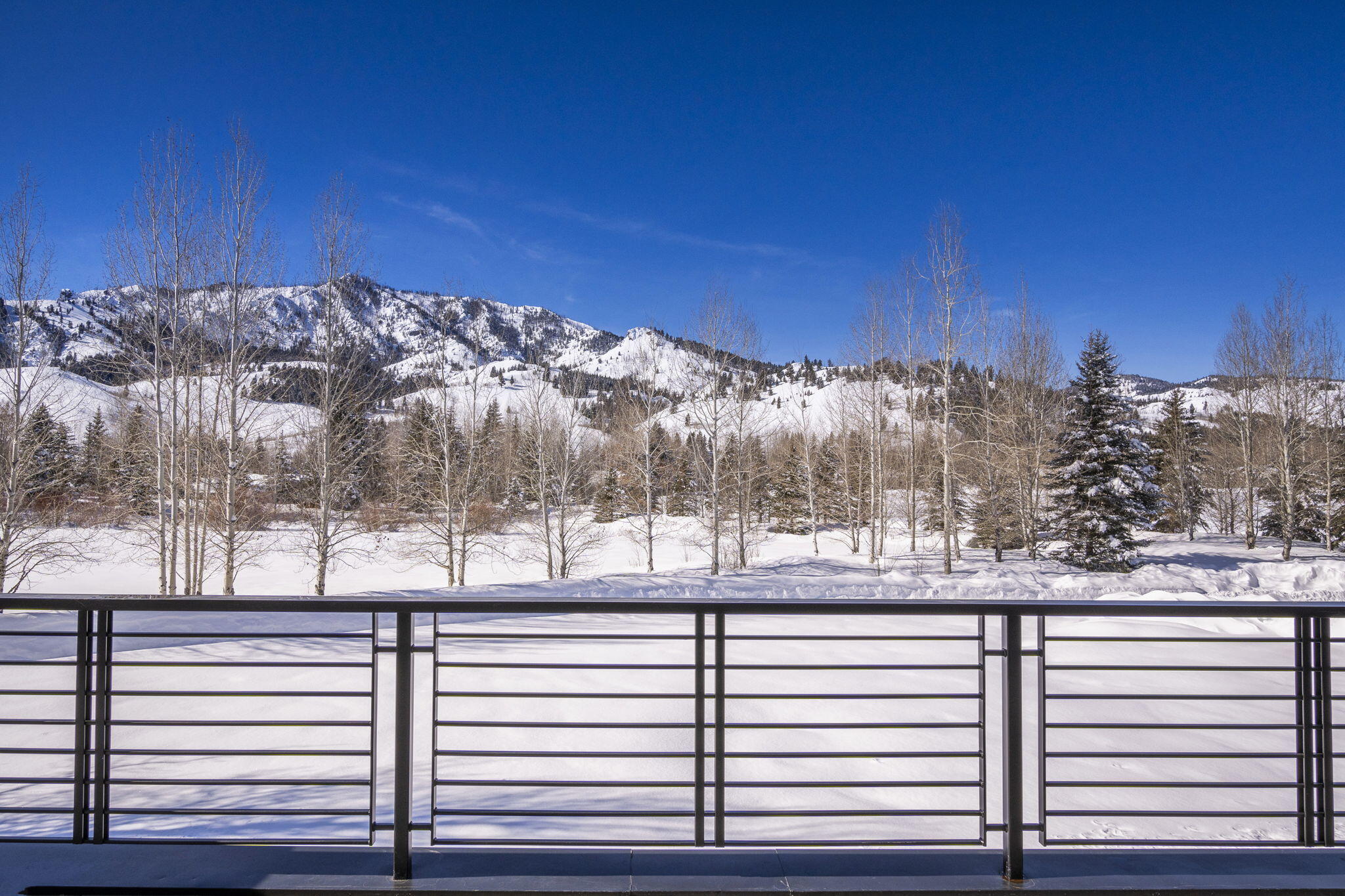 Winter View