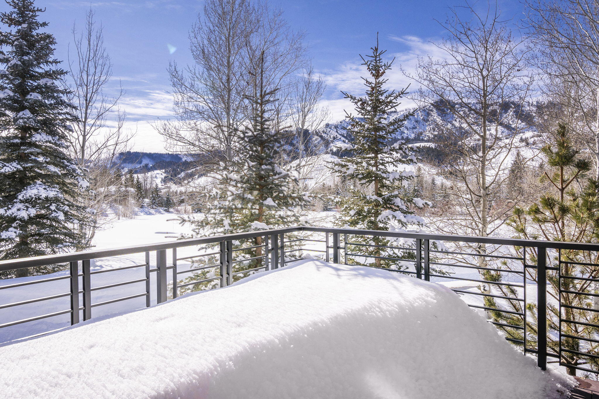Winter View