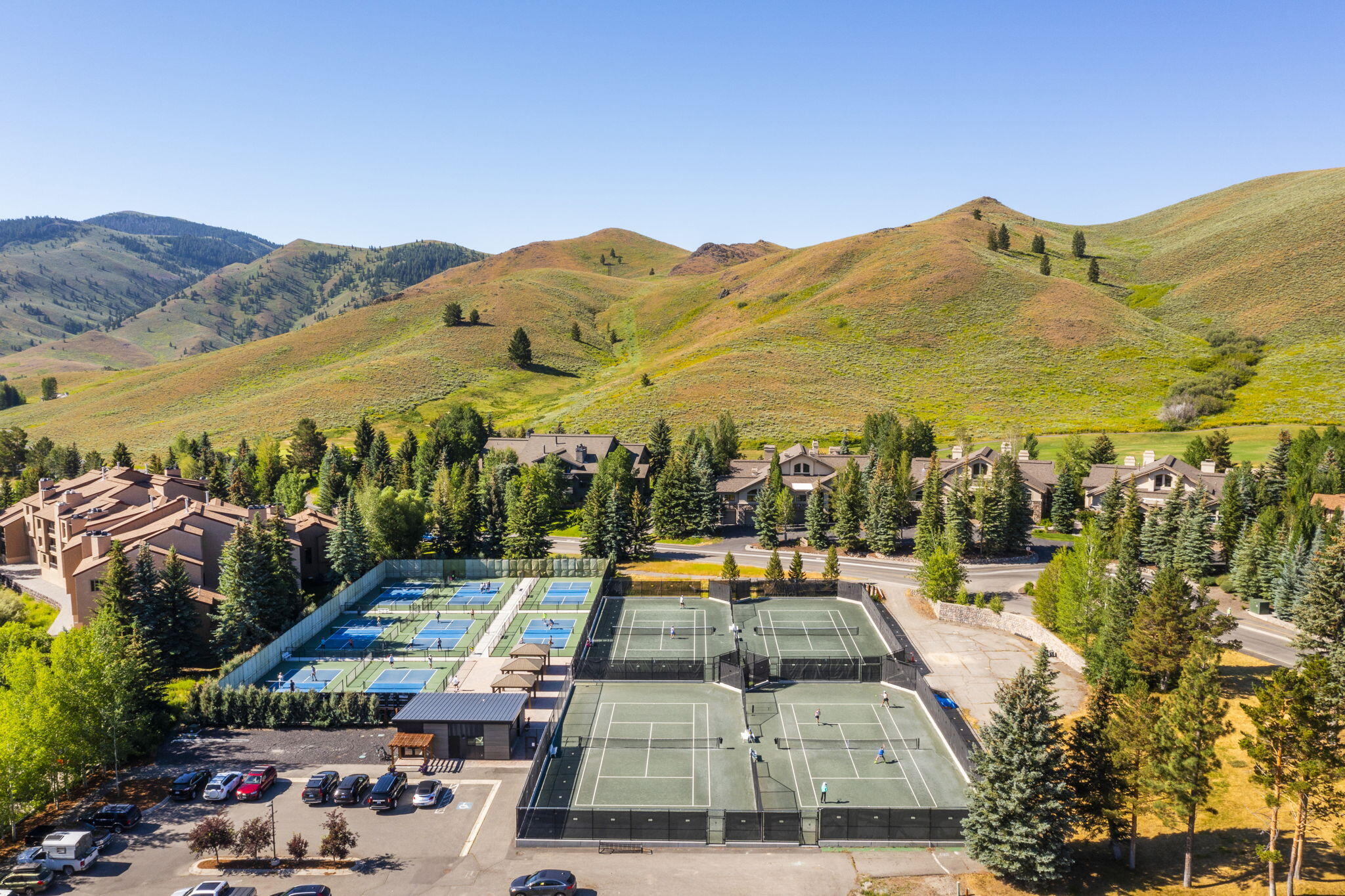 Village Courts
