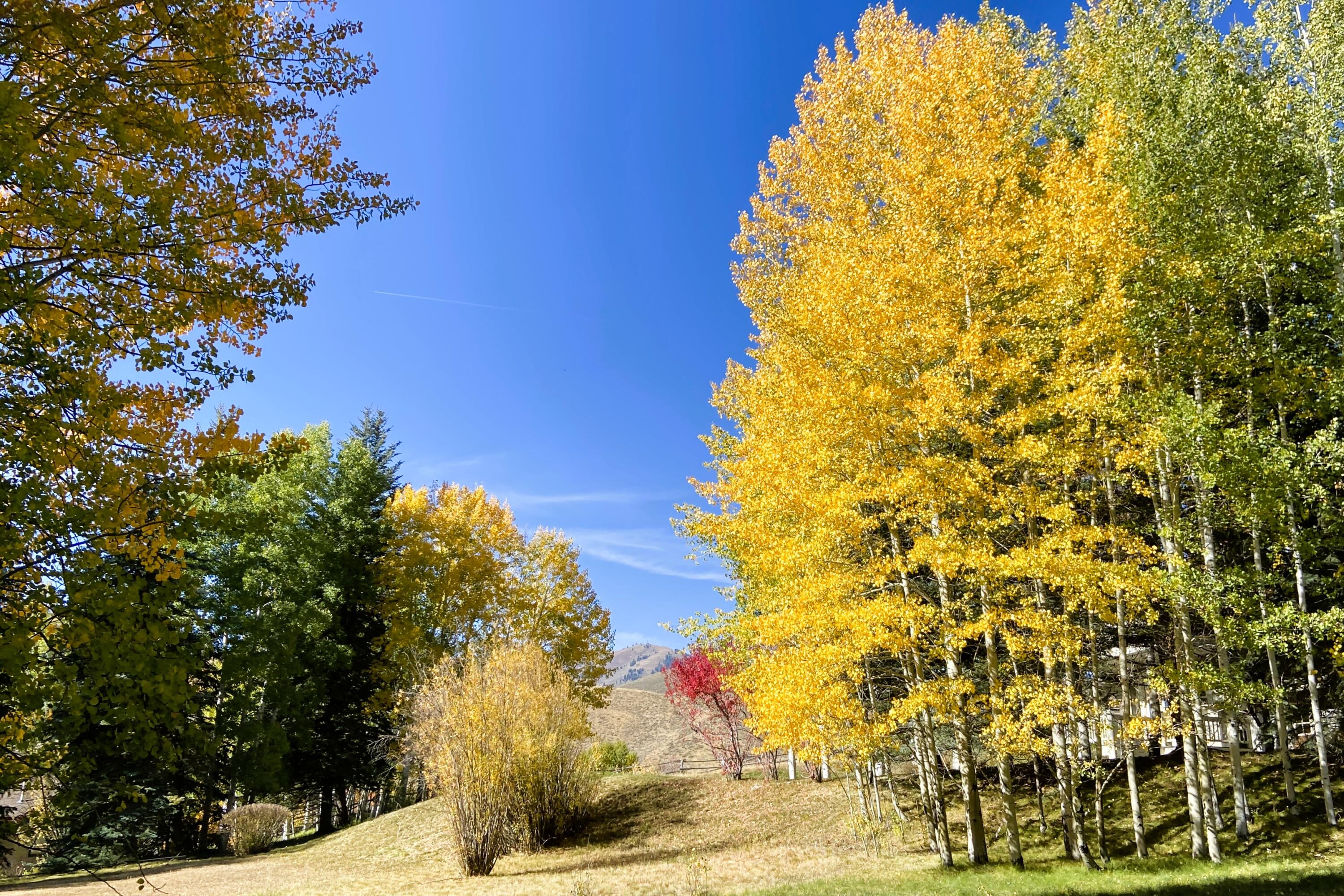 Sun Valley, Idaho 83353, United States, 3 Bedrooms Bedrooms, ,3 BathroomsBathrooms,Residential,Pending,68361