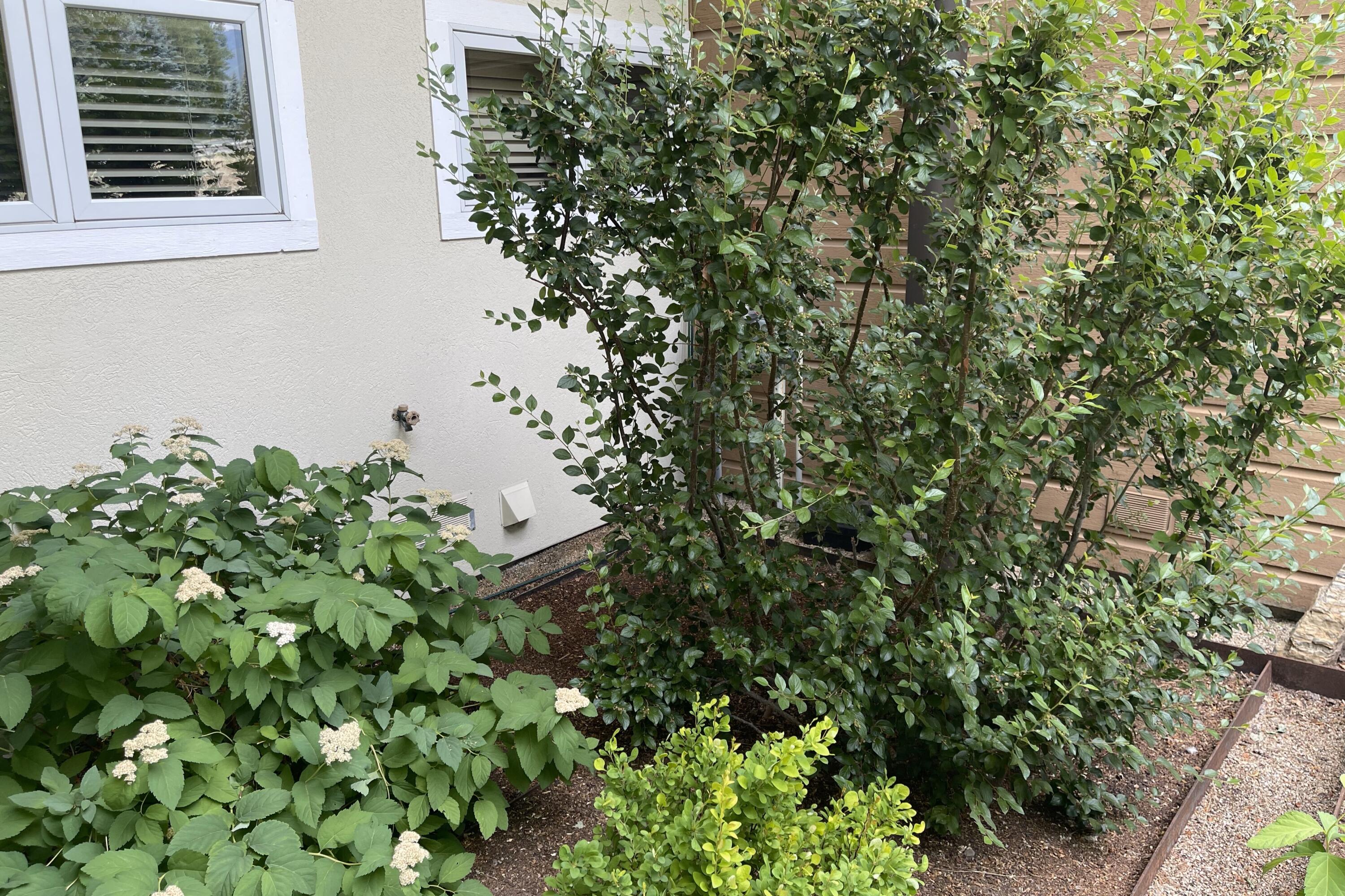 Sun Valley, Idaho 83353, United States, 3 Bedrooms Bedrooms, ,3 BathroomsBathrooms,Residential,Pending,68361