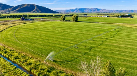 Vacant Land For Sale - 184 Pero Rd<br/> Bellevue, ID 83313