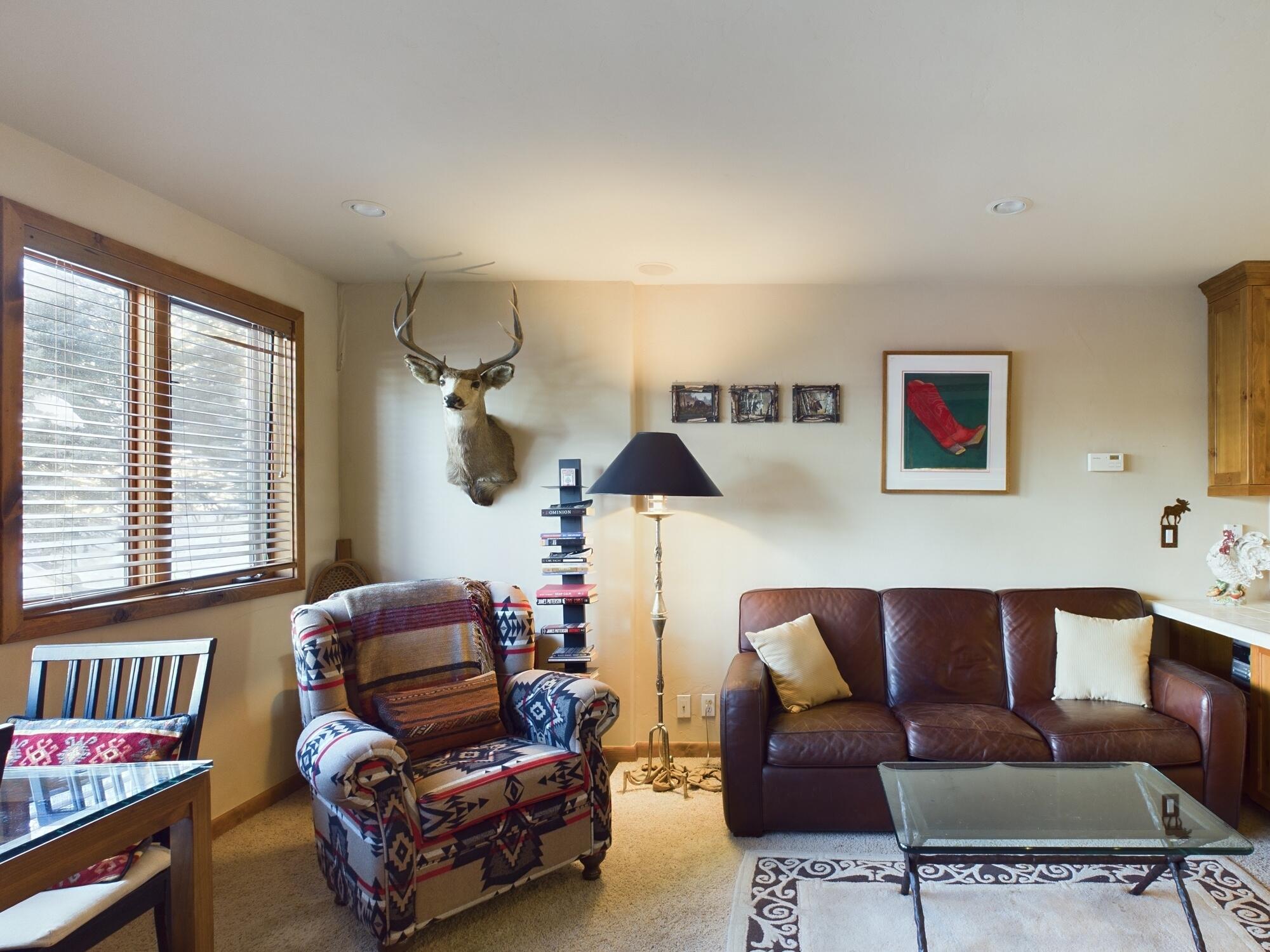 125 Picabo St St #F7, Ketchum, Idaho image 3