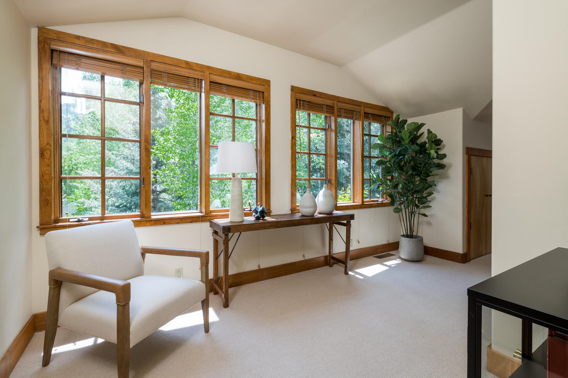 110 Buss Elle Dr, Ketchum, Idaho image 16