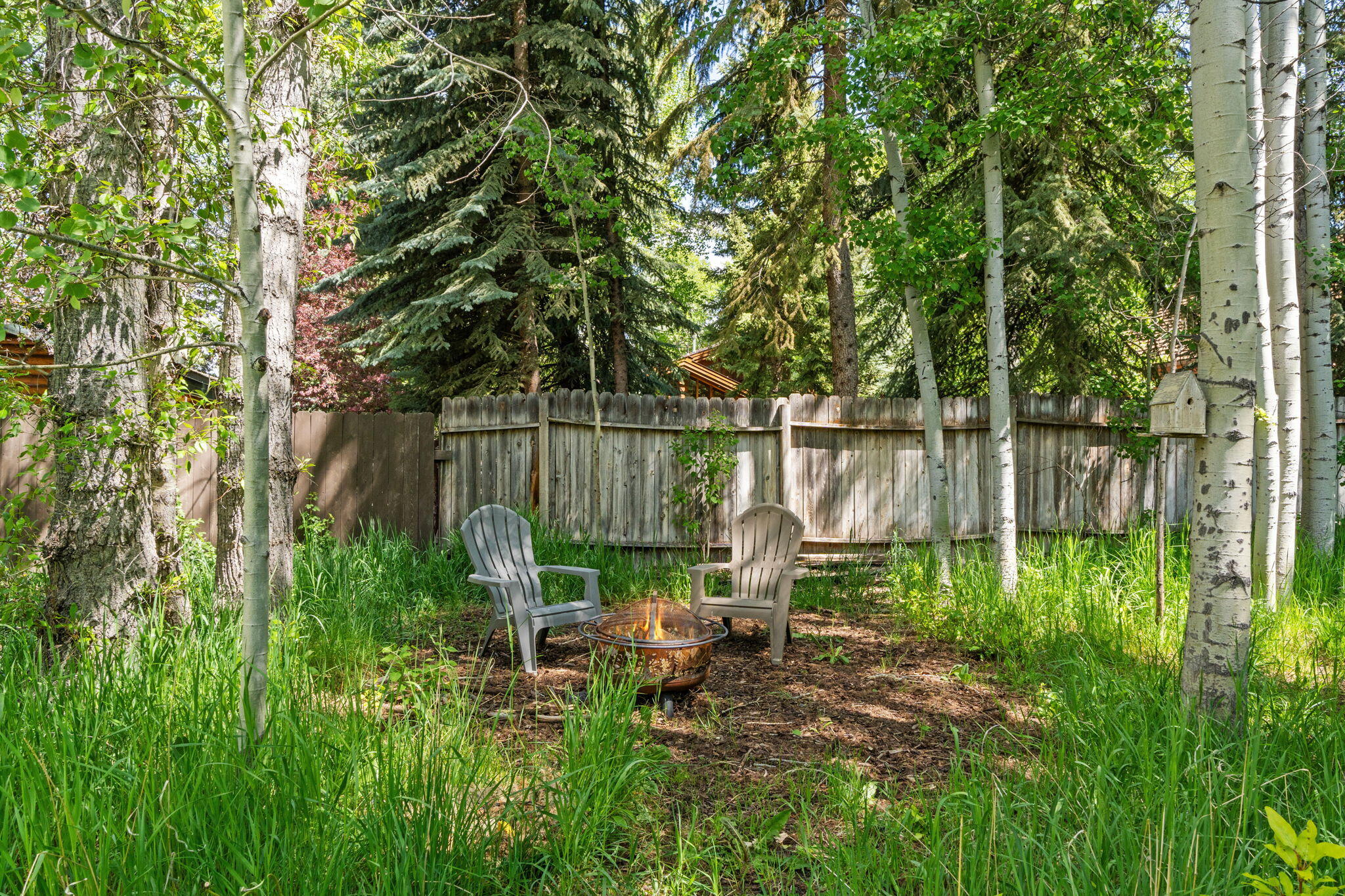 Association Firepit Area