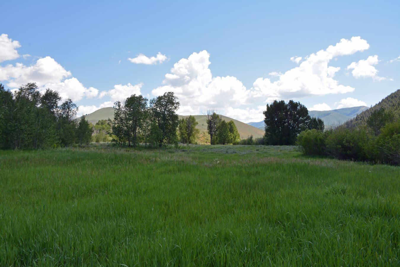 TBD Lot 9, East Fork, Rd, Hailey, Idaho image 11