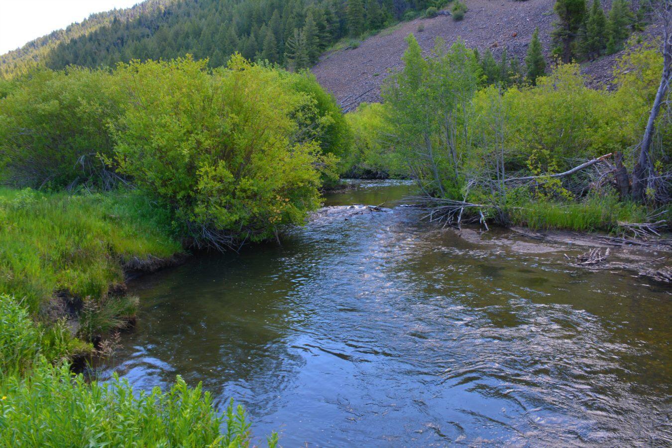 TBD Lot 9, East Fork, Rd, Hailey, Idaho image 6