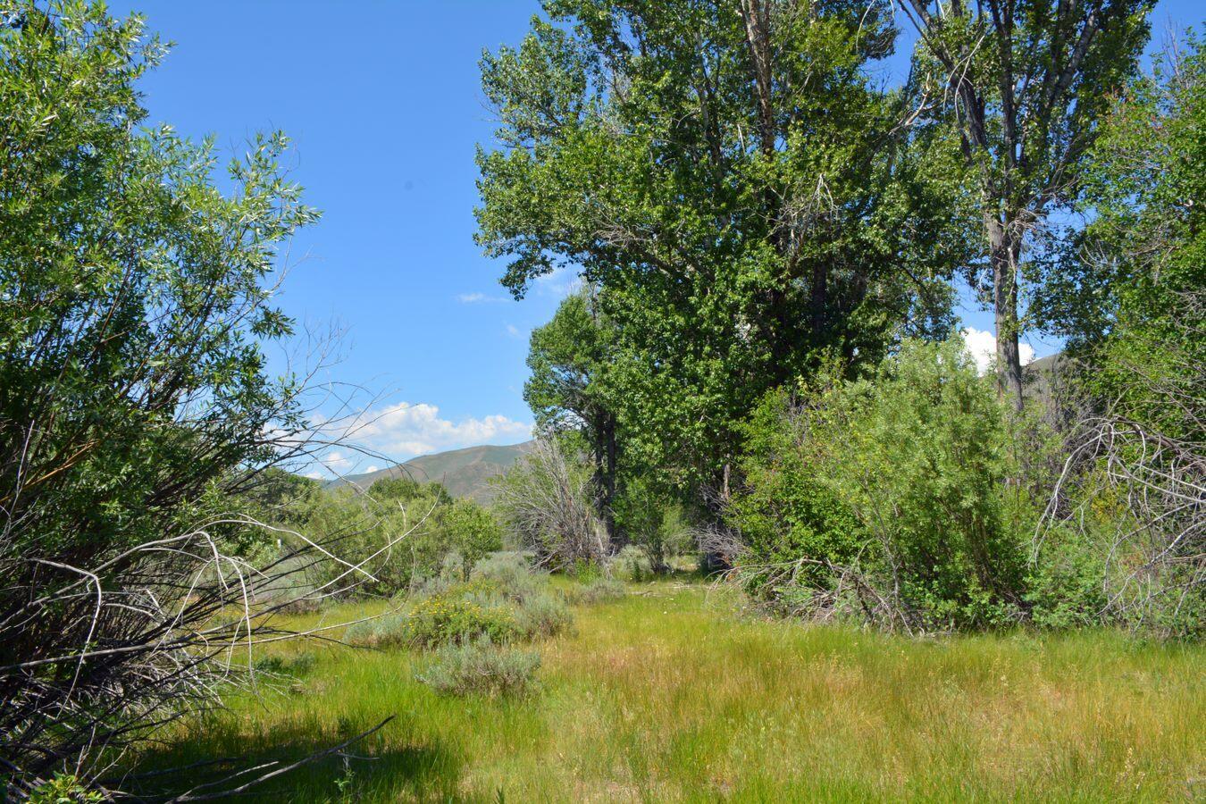 TBD Lot 9, East Fork, Rd, Hailey, Idaho image 7