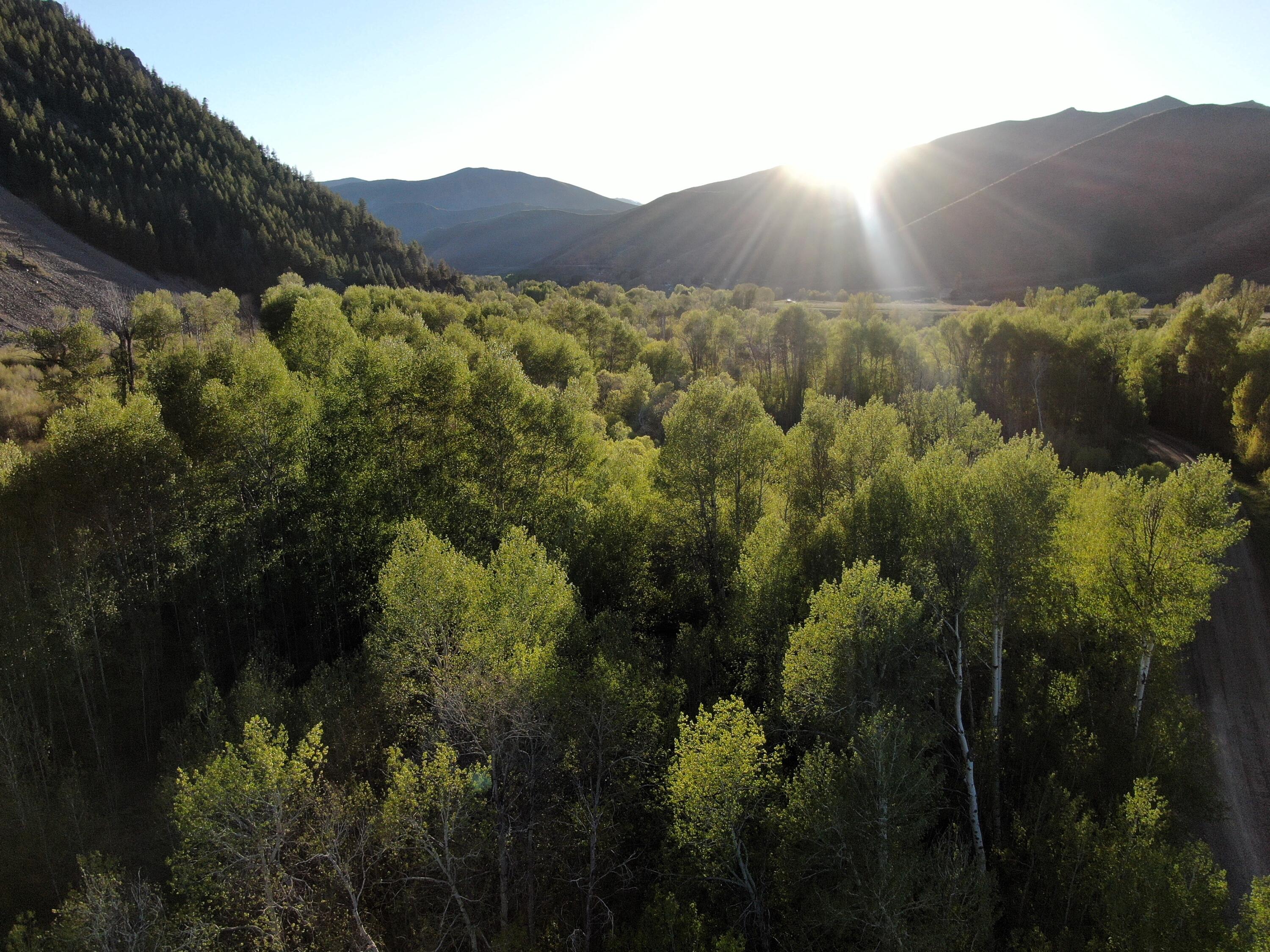 TBD Lot 9, East Fork, Rd, Hailey, Idaho image 9