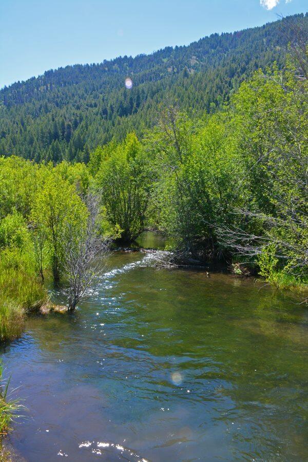 TBD Lot 9, East Fork, Rd, Hailey, Idaho image 8