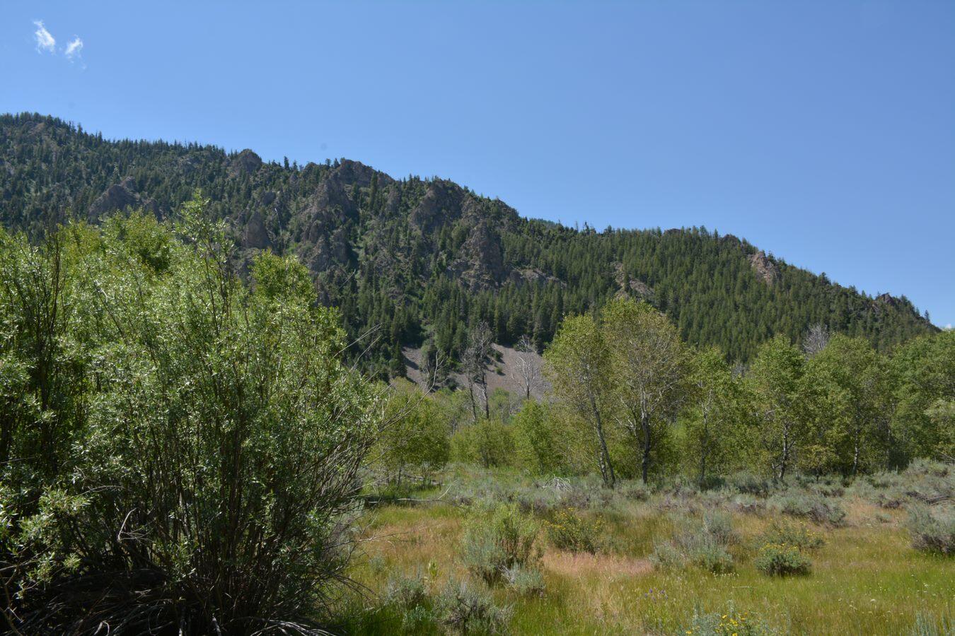 TBD Lot 9, East Fork, Rd, Hailey, Idaho image 4