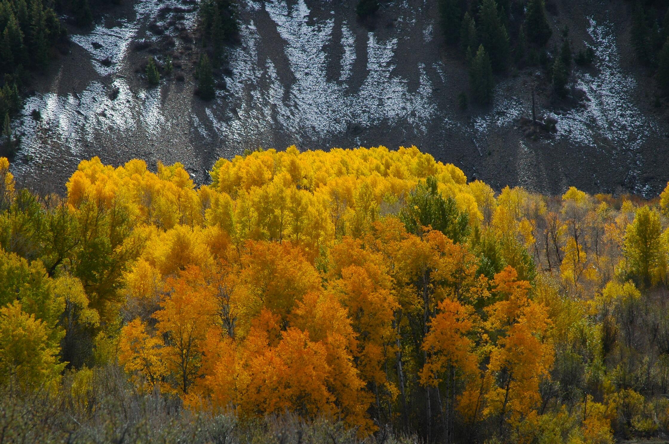 TBD Lot 9, East Fork, Rd, Hailey, Idaho image 10