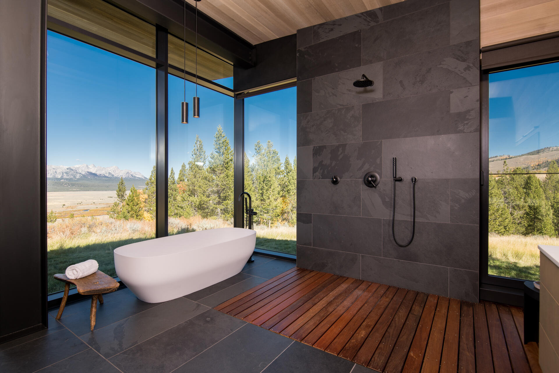 1130 Shaw Mesa Dr, Stanley, Idaho image 22
