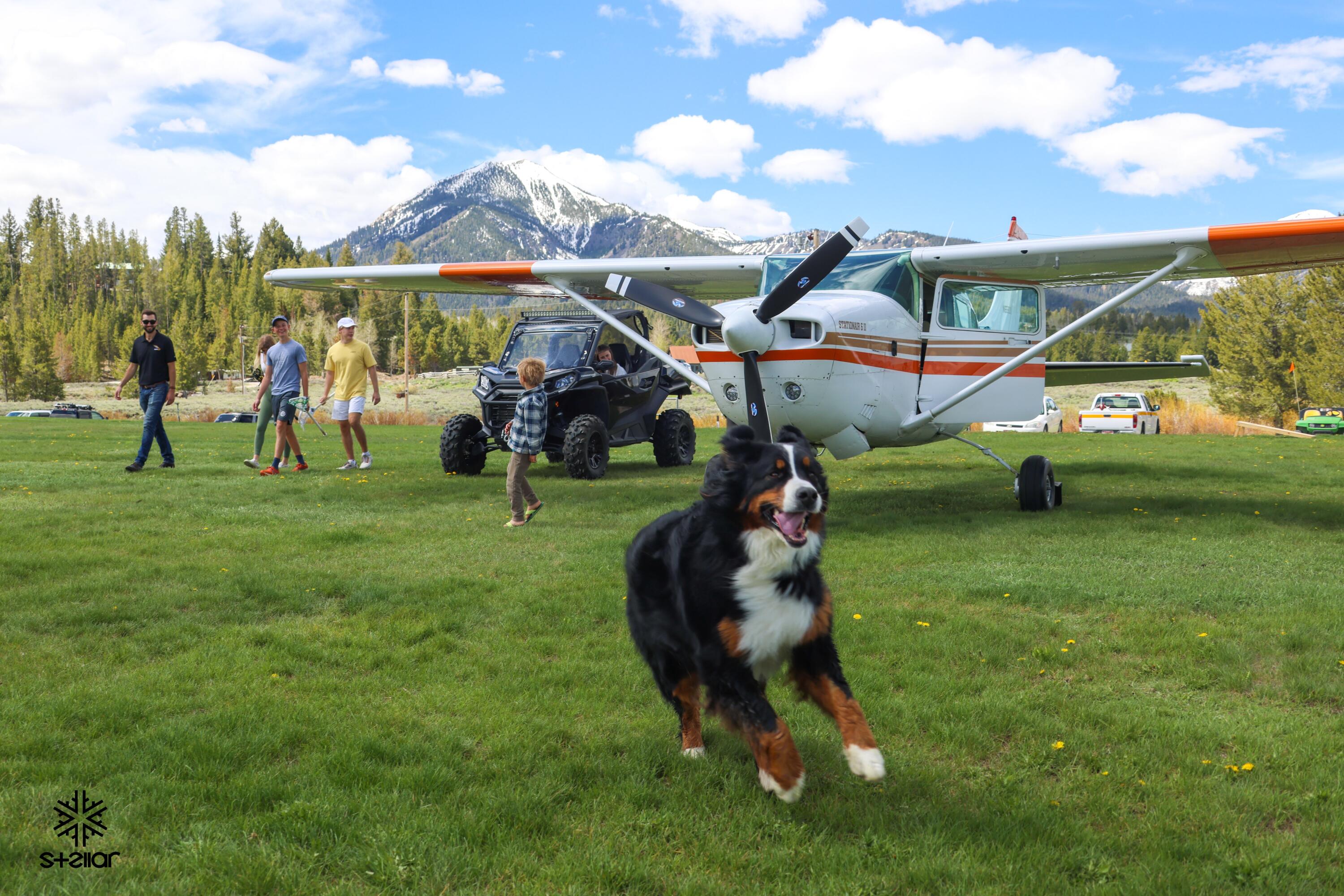 Take your pets and friends to the ranch