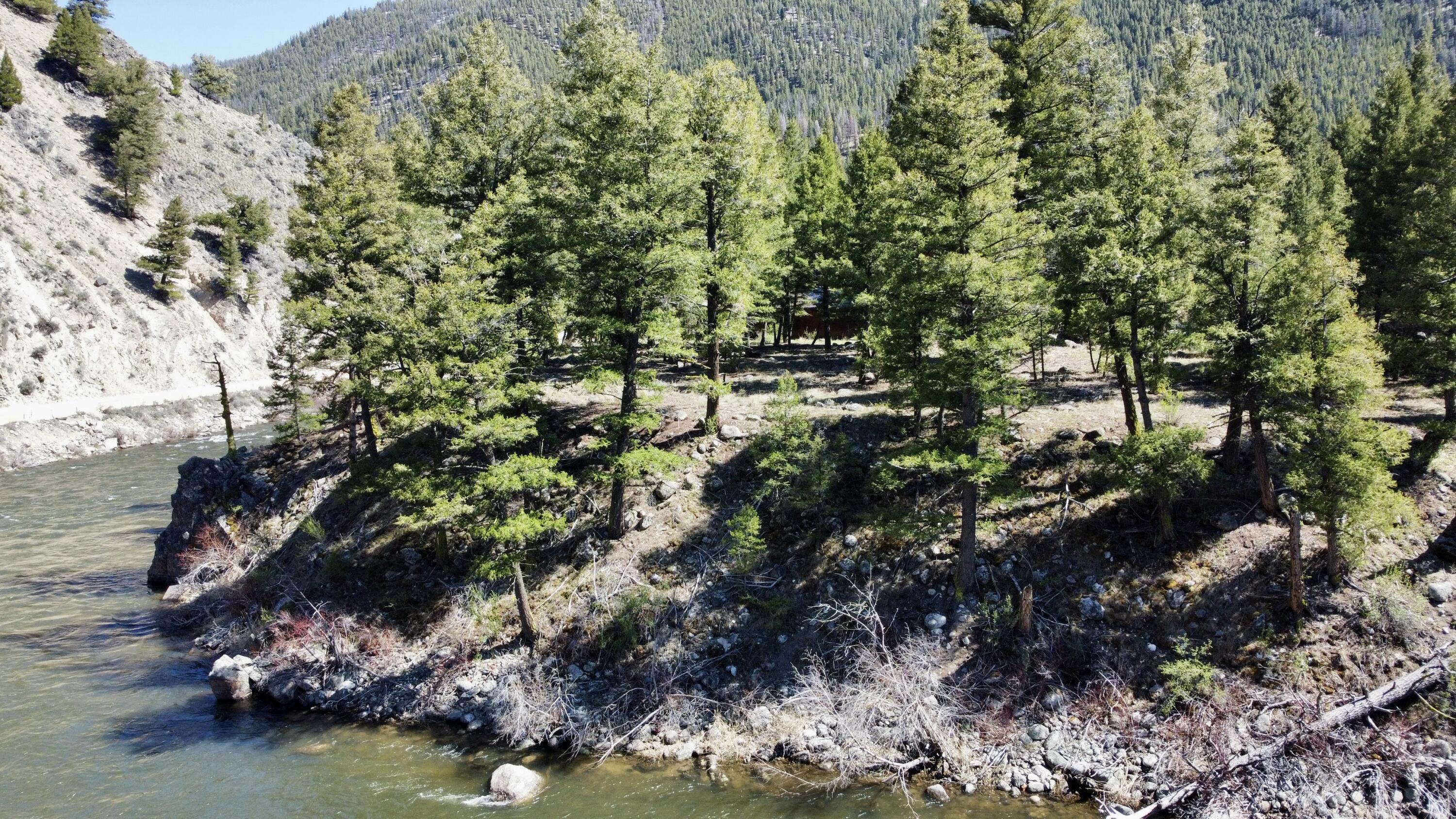 Land, Stanley, Idaho image 9