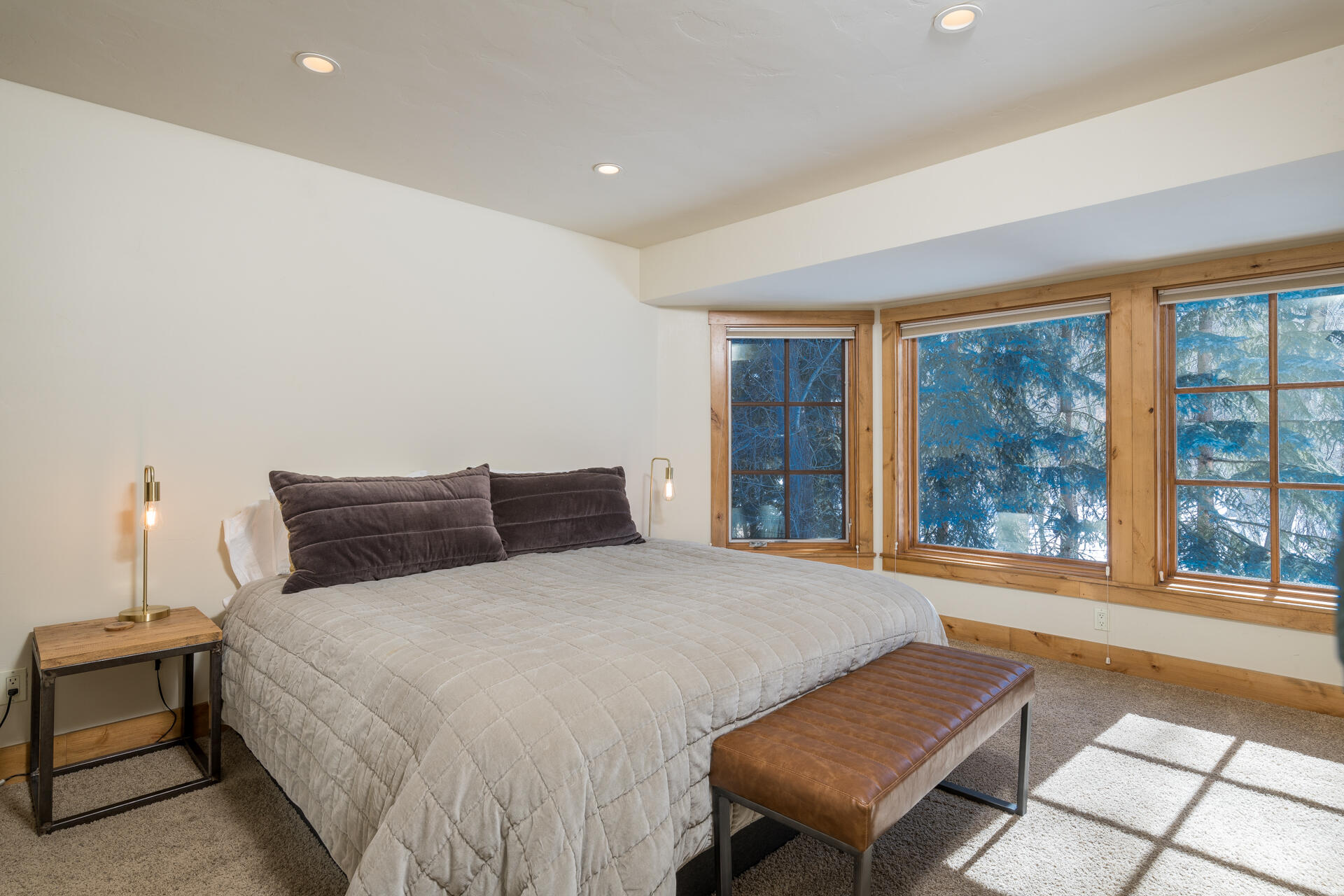 311 Andora Lane #120, Ketchum, Idaho image 15