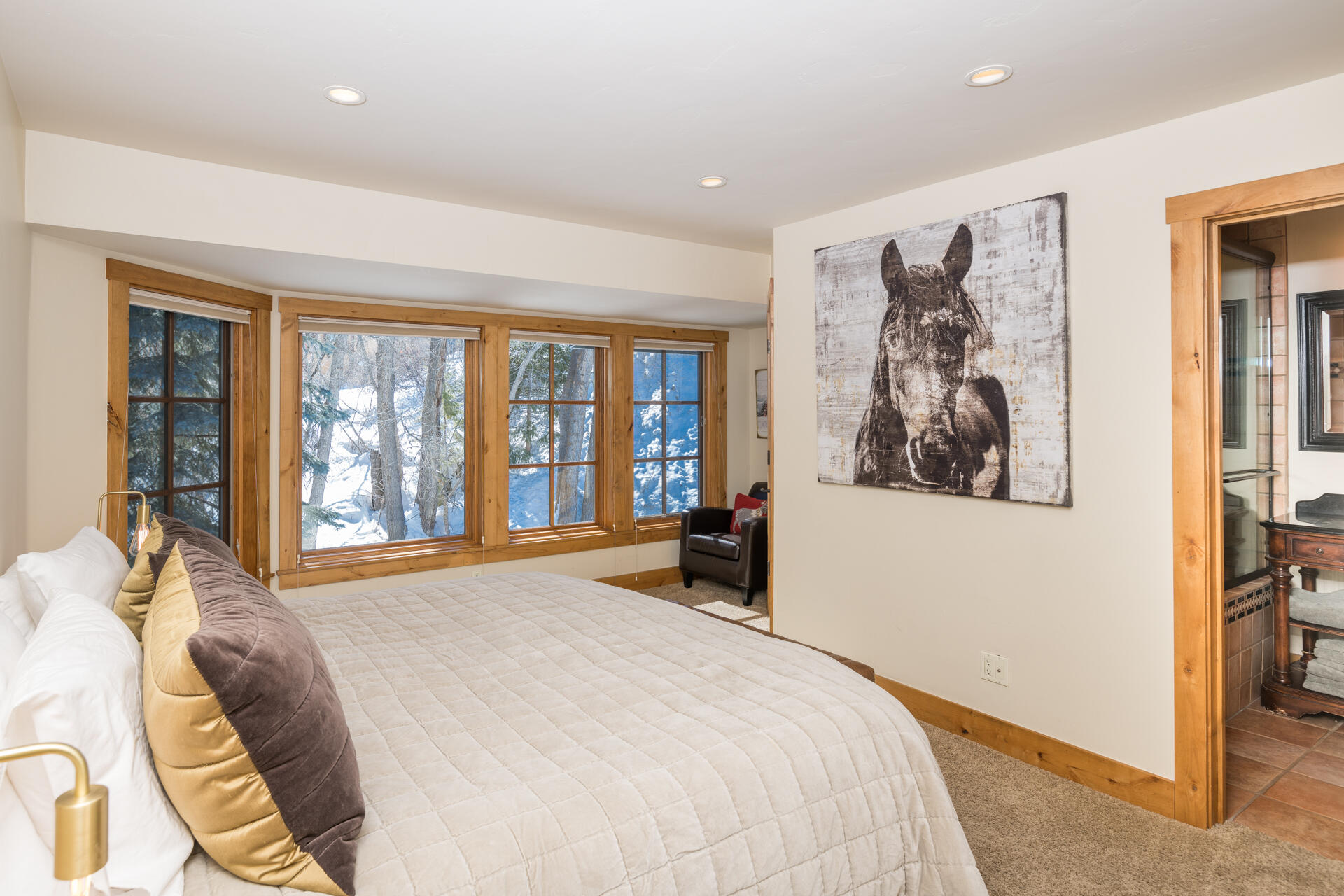 311 Andora Lane #120, Ketchum, Idaho image 14