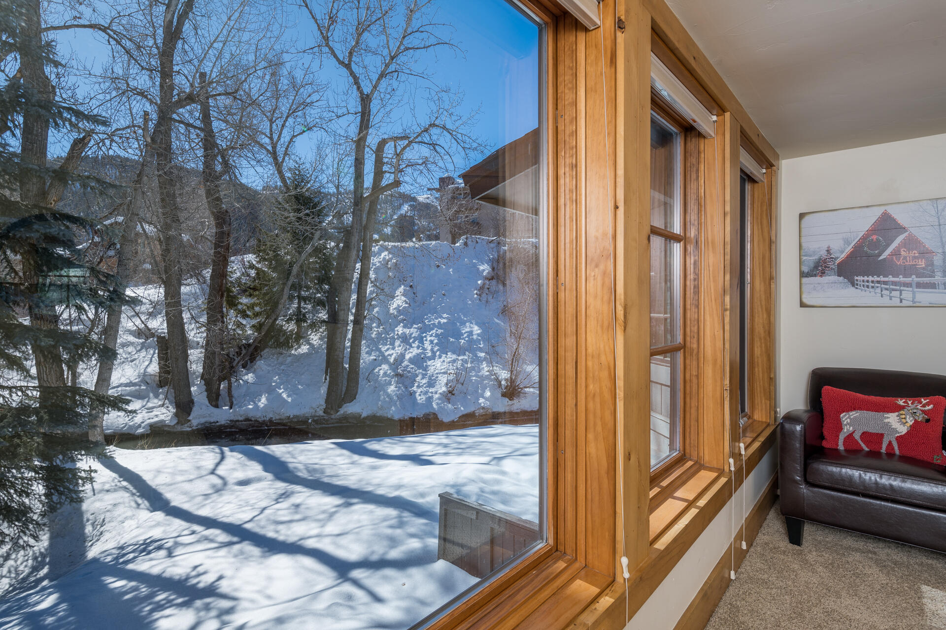 311 Andora Lane #120, Ketchum, Idaho image 16