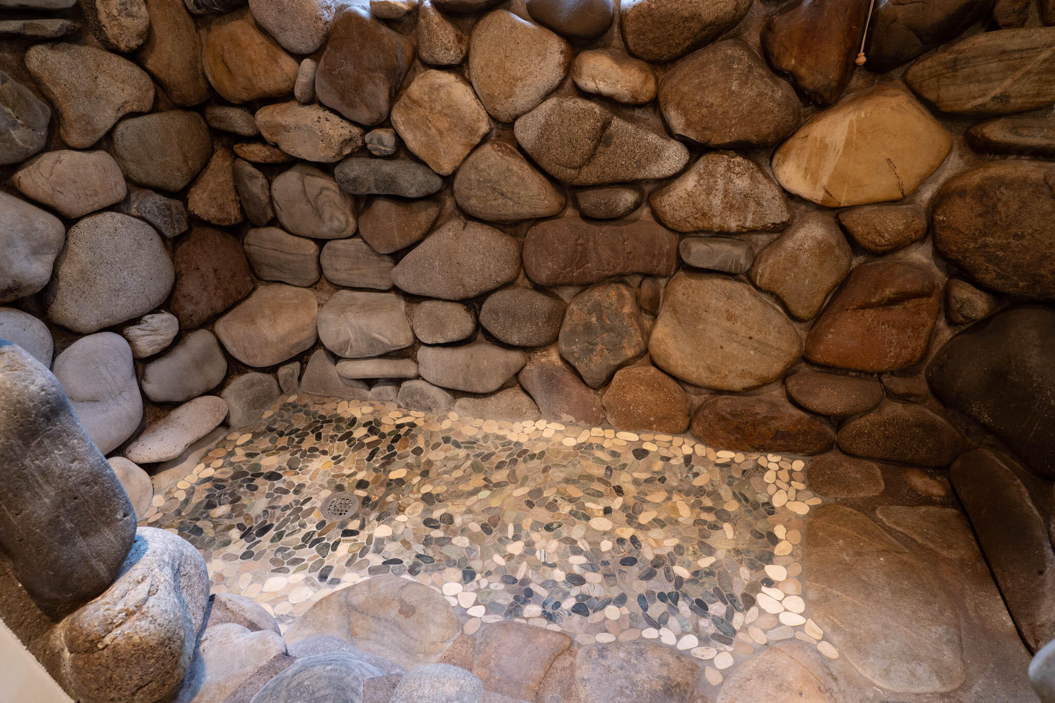 Guest Barthoom Shower Detail