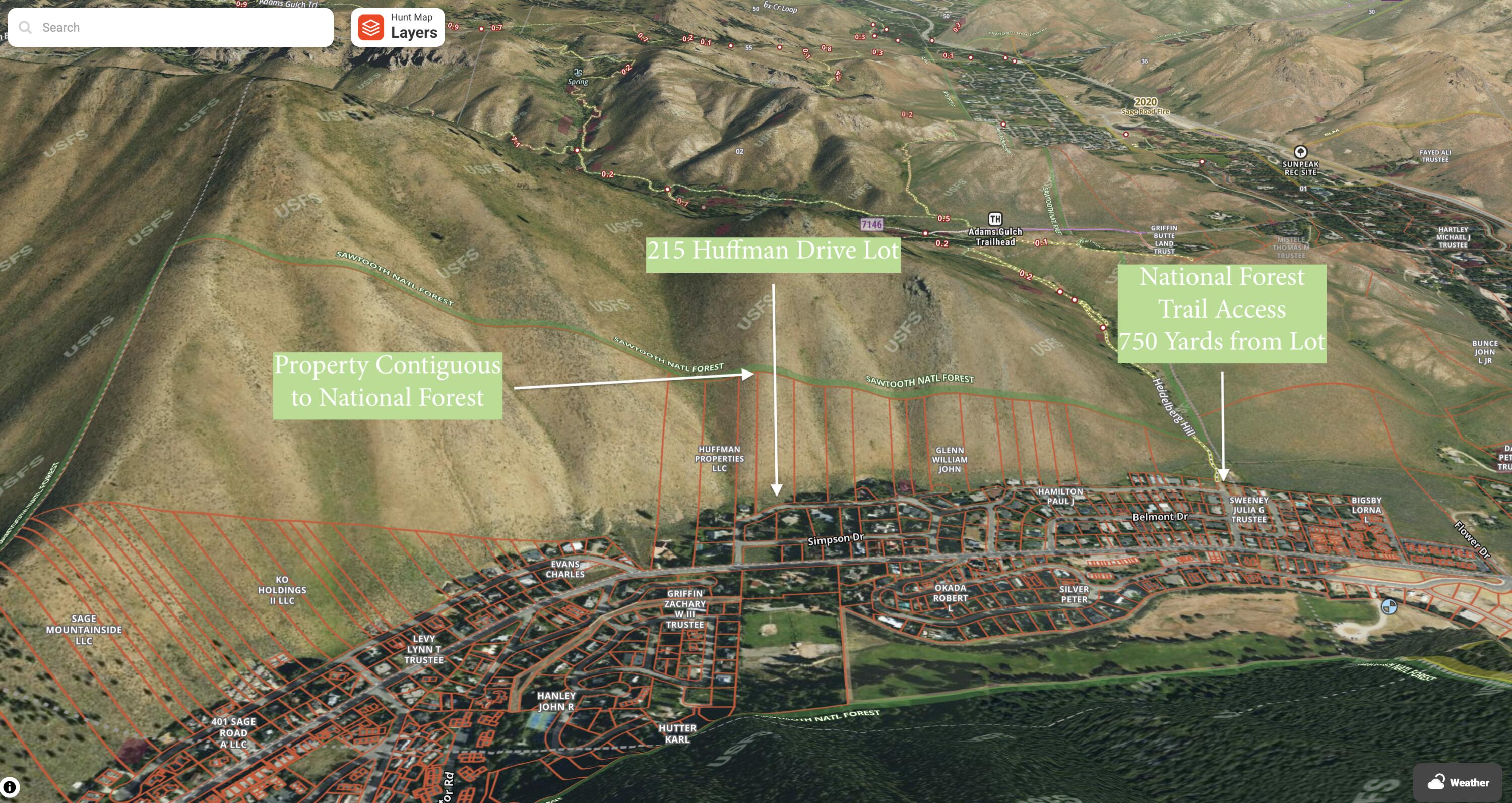 3D Trail : National Forest