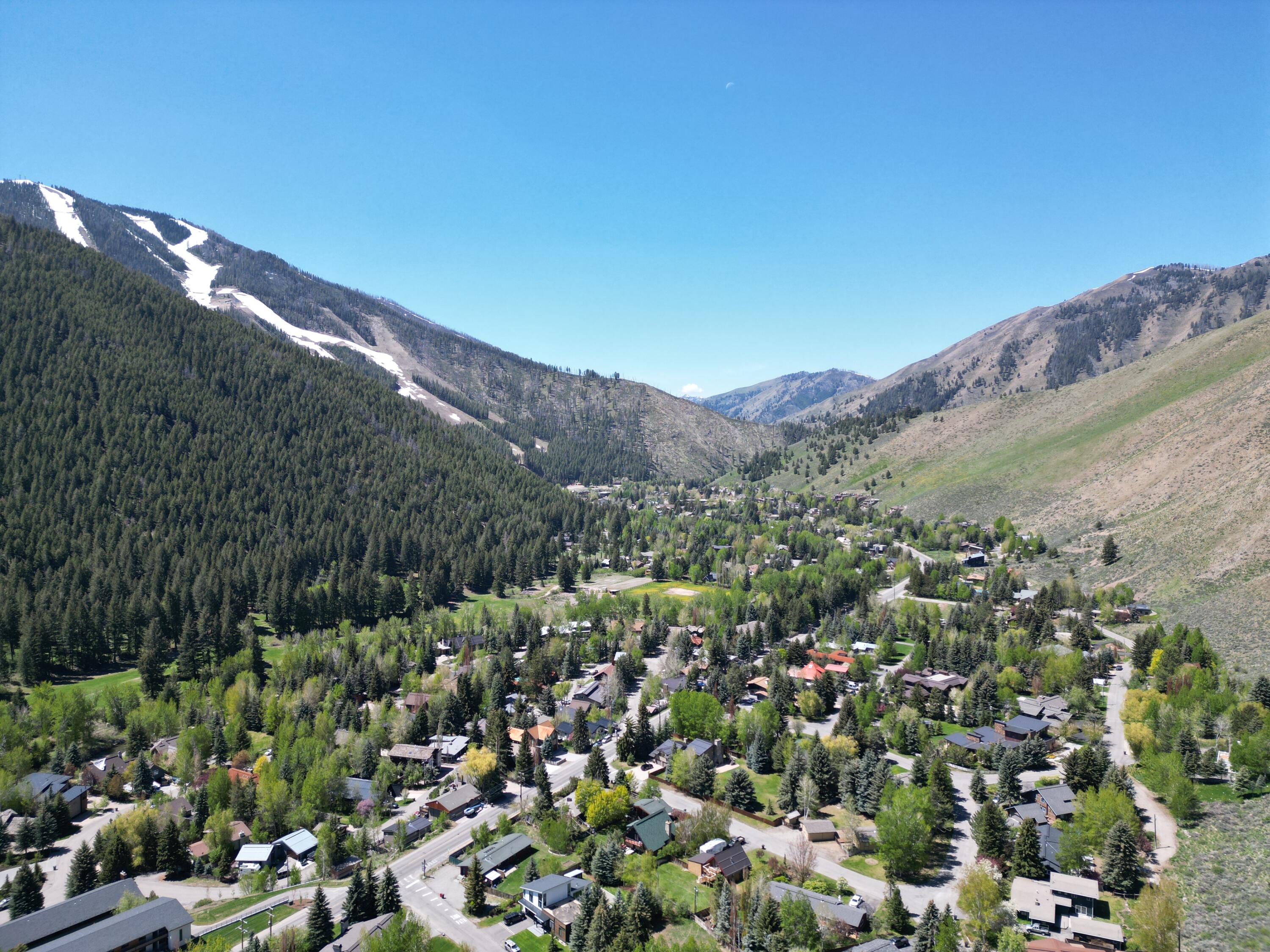 Lot with Baldy in Back Ground