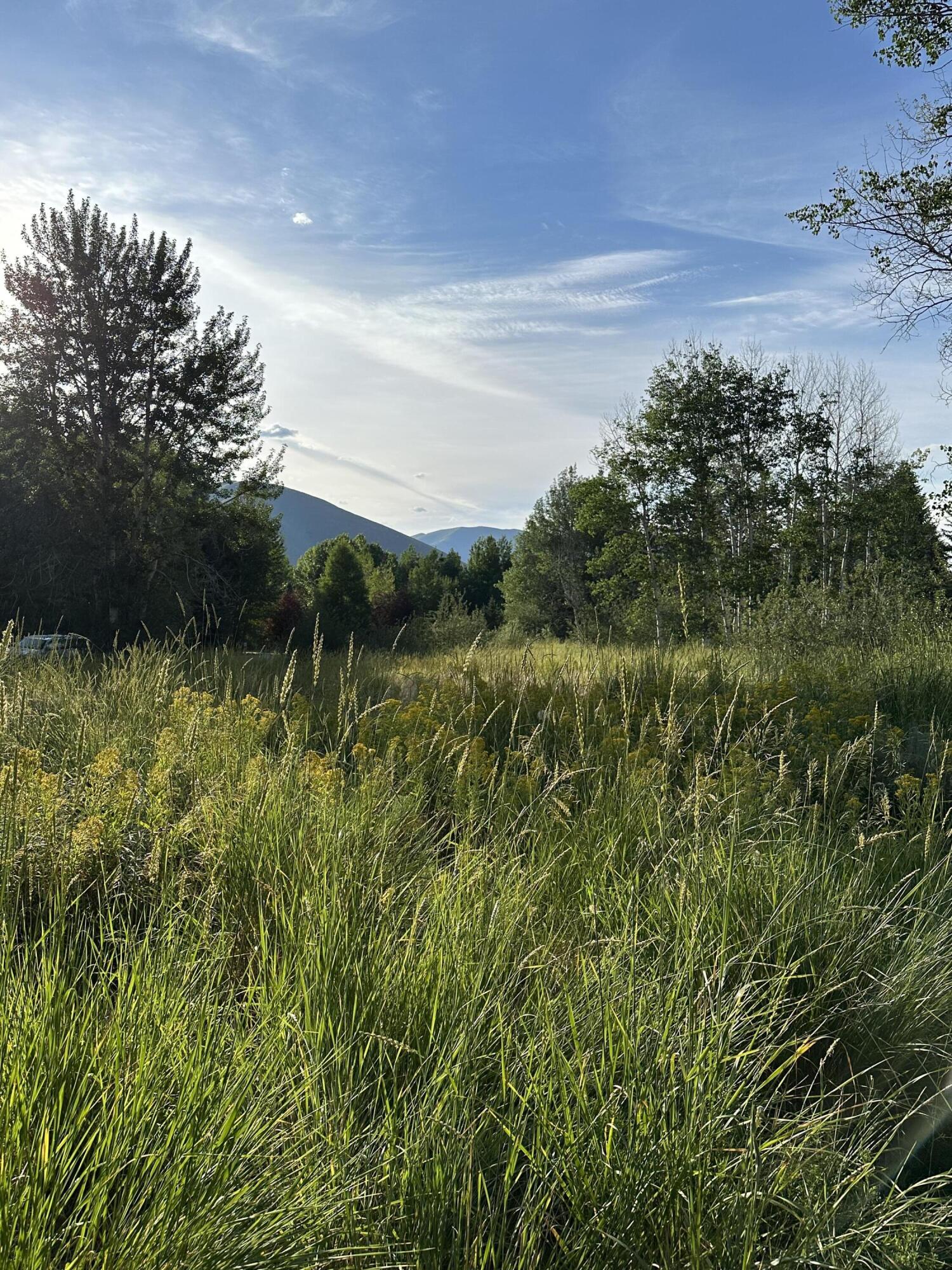 Blaine County, Idaho 83333, United States, ,Residential,Active,88684