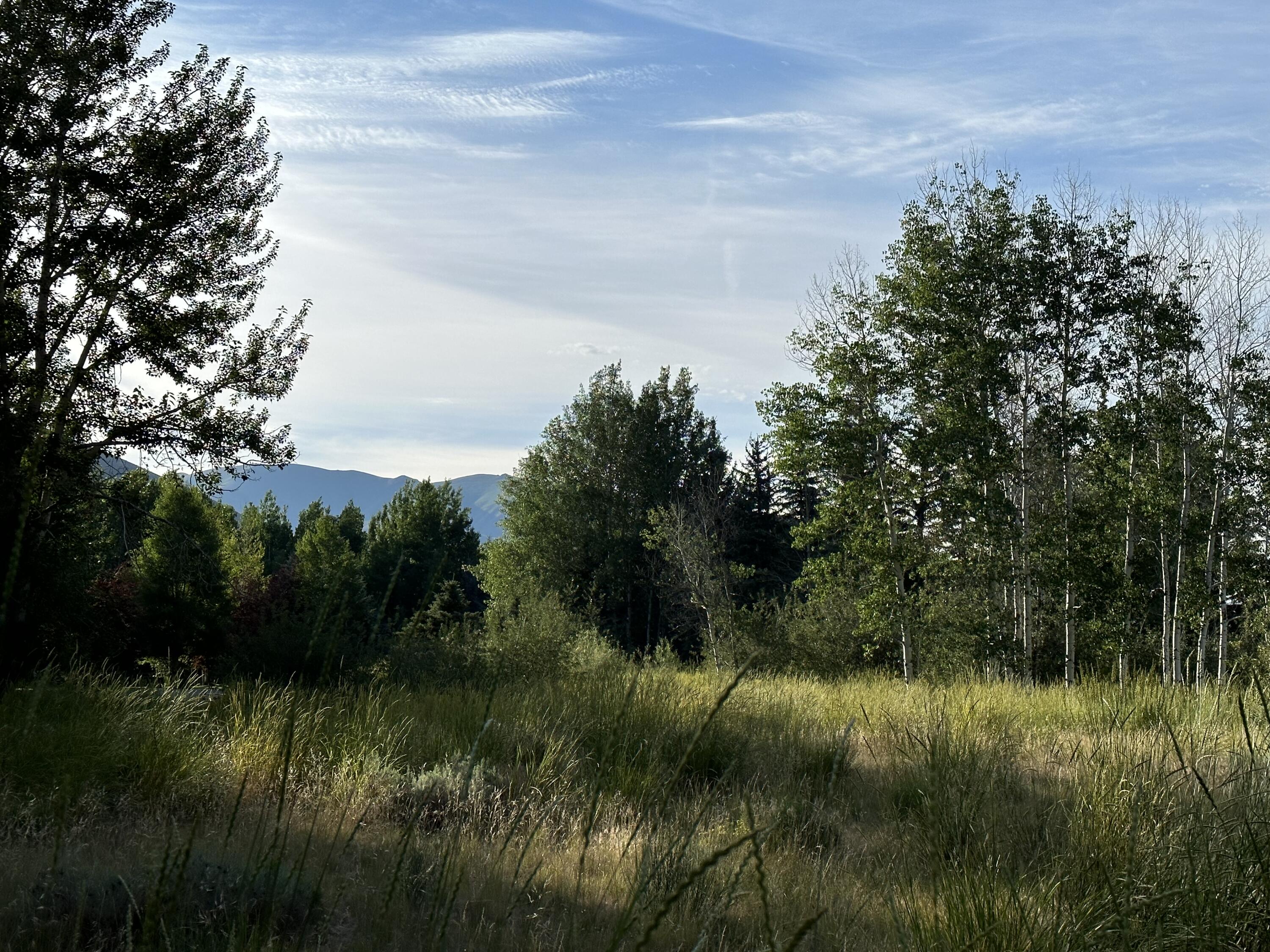 Blaine County, Idaho 83333, United States, ,Residential,Active,88684