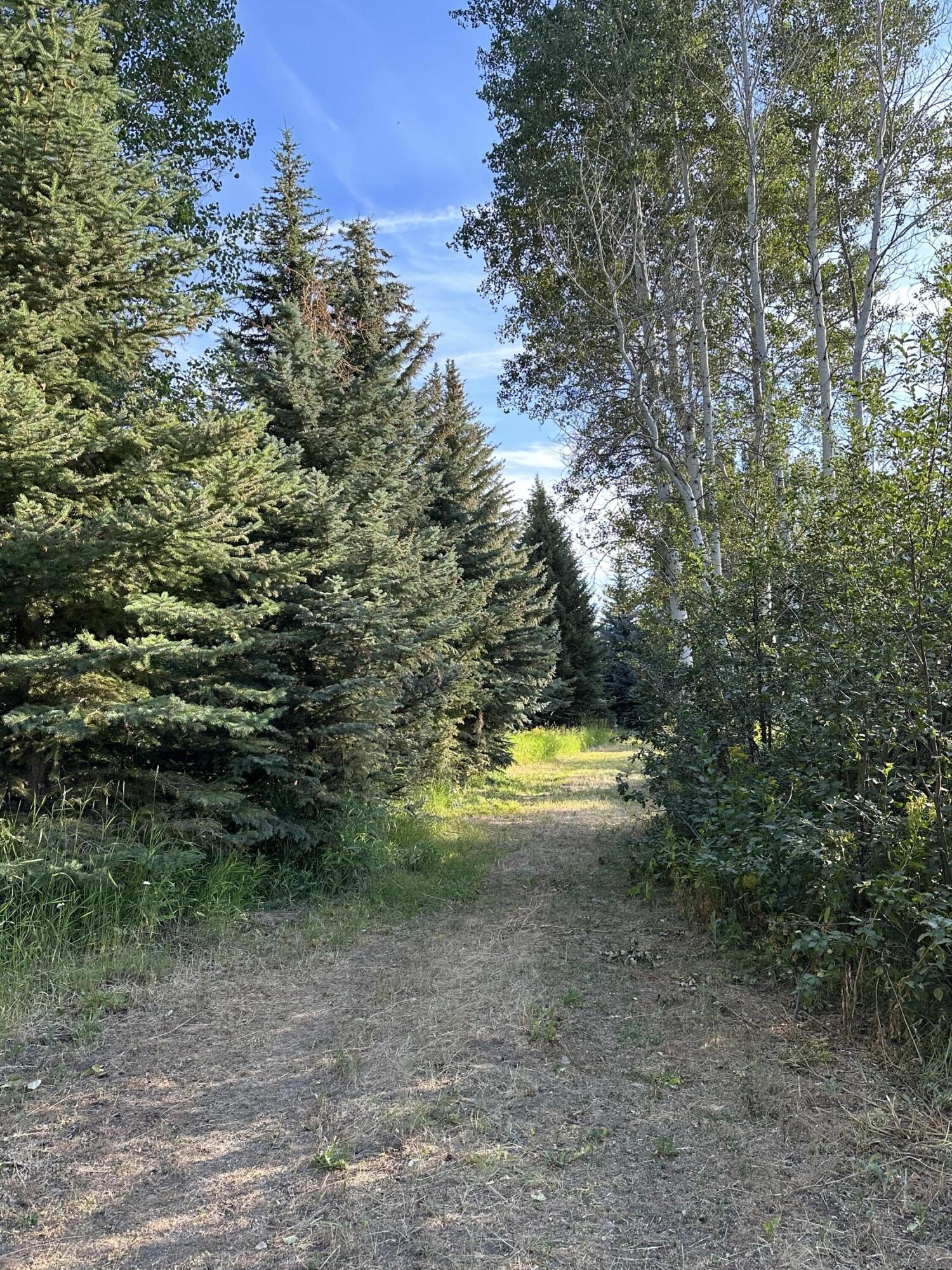 Groomed trail to the lake