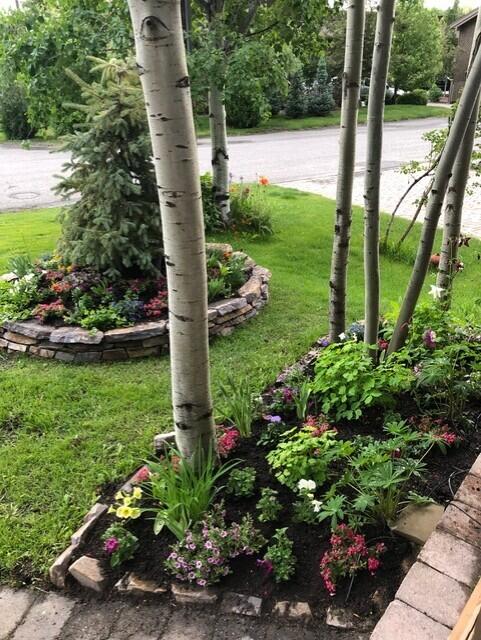 200 Williams St #UNIT 2, Ketchum, Idaho image 29