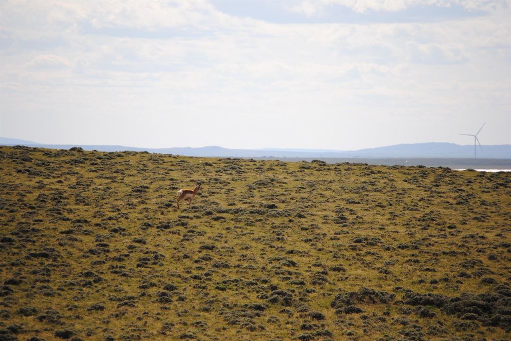 Photo of 53 Daybreak Drive DR, Rock River, WY 82058 (MLS # 20262306)