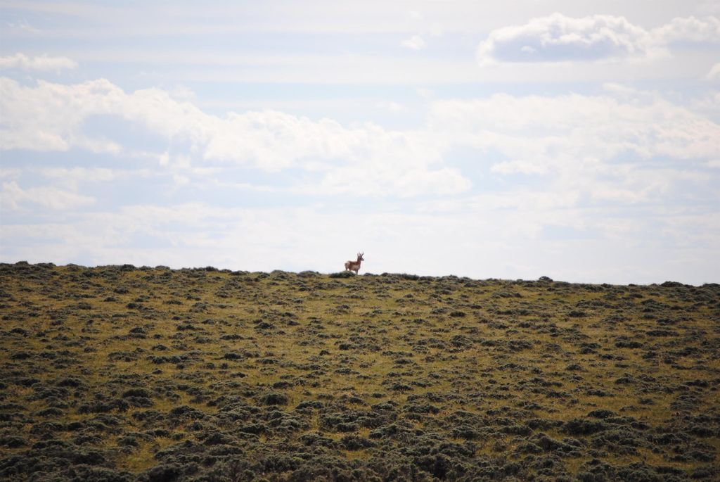 Photo of 53 Daybreak Drive DR, Rock River, WY 82058 (MLS # 20262306)