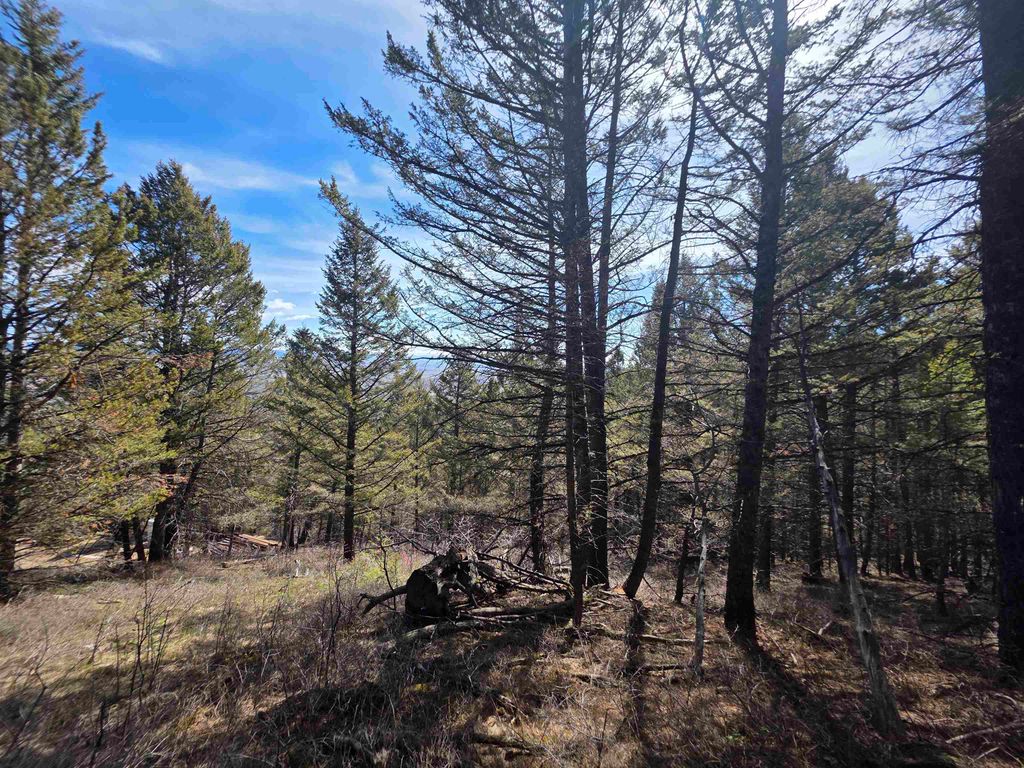 Photo of TBD Porcupine Drive Lot 27B, Dubois, WY 82513 (MLS # 20262228)