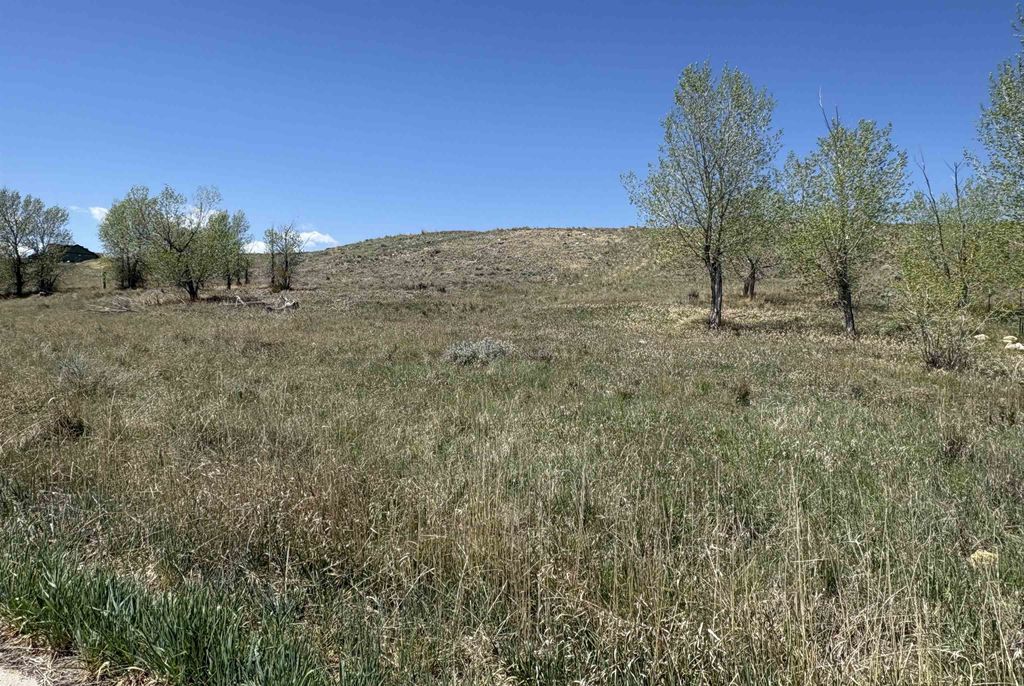 Photo of 110 Watkins Street, Buffalo, WY 82834 (MLS # 20262268)
