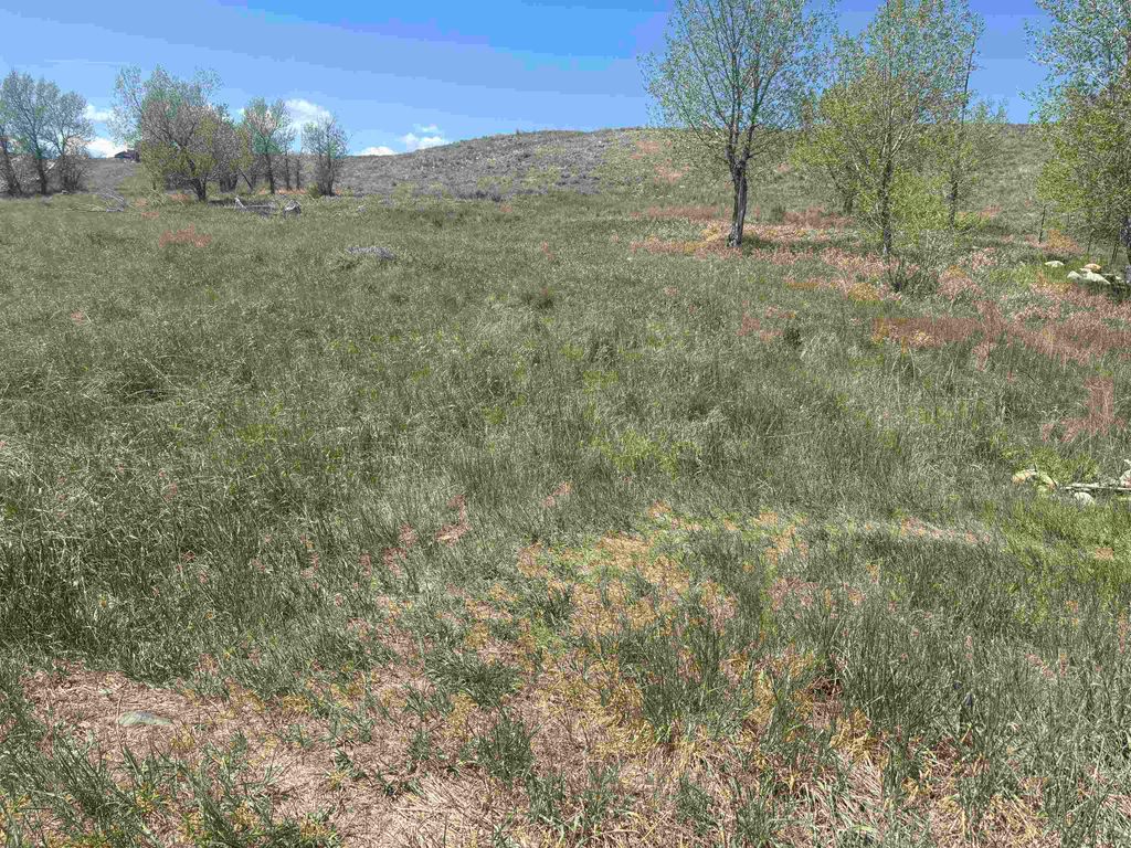 Photo of 110 Watkins Street, Buffalo, WY 82834 (MLS # 20262268)