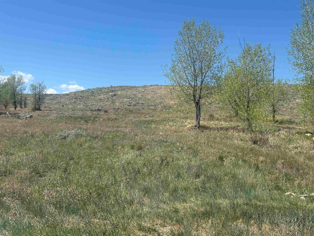 Photo of 110 Watkins Street, Buffalo, WY 82834 (MLS # 20262268)