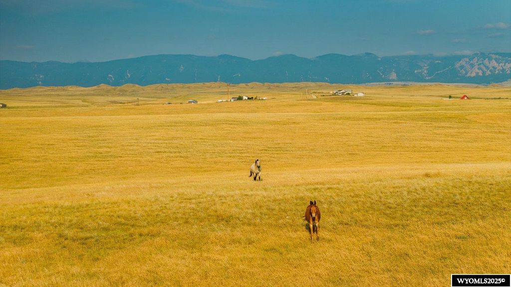 Photo of 32 Wallows Creek Parcel 1 Rd, Buffalo, WY 82834 (MLS # 20253872)