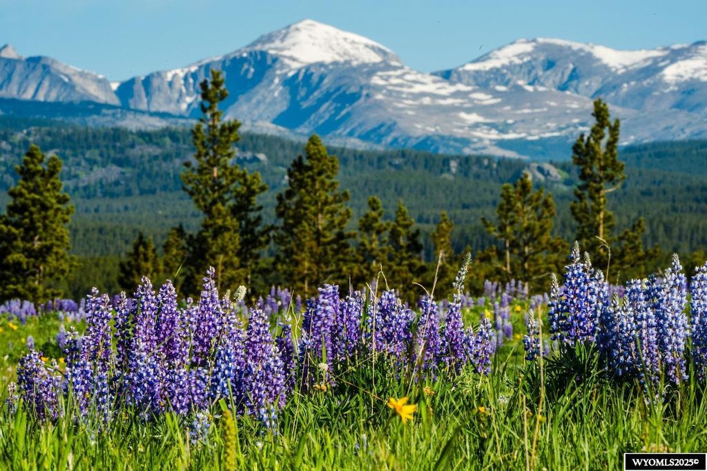 Photo of Muddy Guard MUDDY GUARD, Buffalo, WY 82834 (MLS # 20251780)