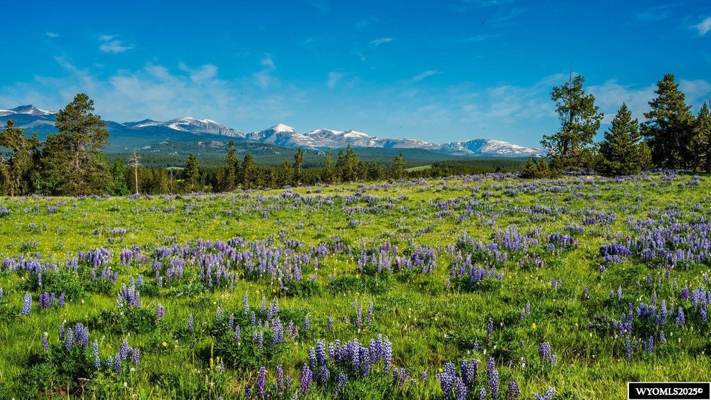 Photo of Muddy Guard MUDDY GUARD, Buffalo, WY 82834 (MLS # 20251780)